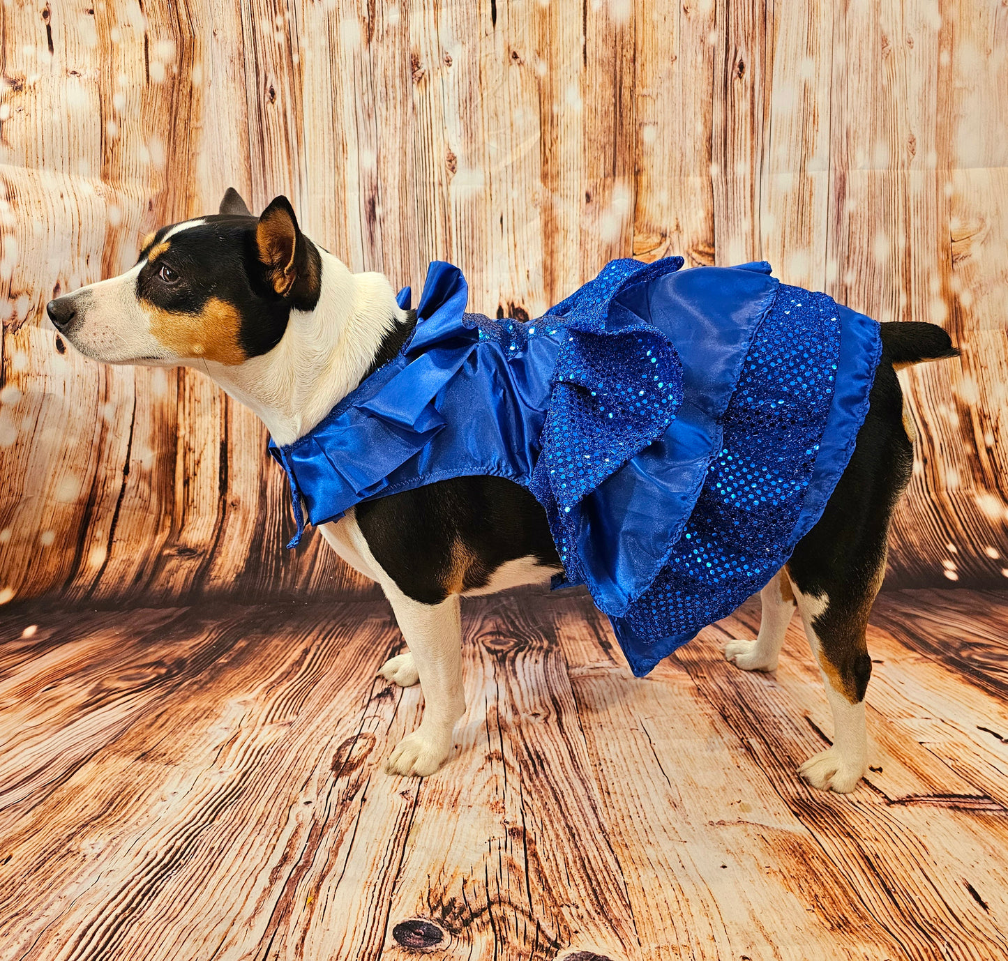 Blue 80's Pet Prom Dress, 80's Dog prom dress, 80's cat prom dress, 80'Pet Costume, 80's pet dresses, sequin pet dress, 80's prom pet