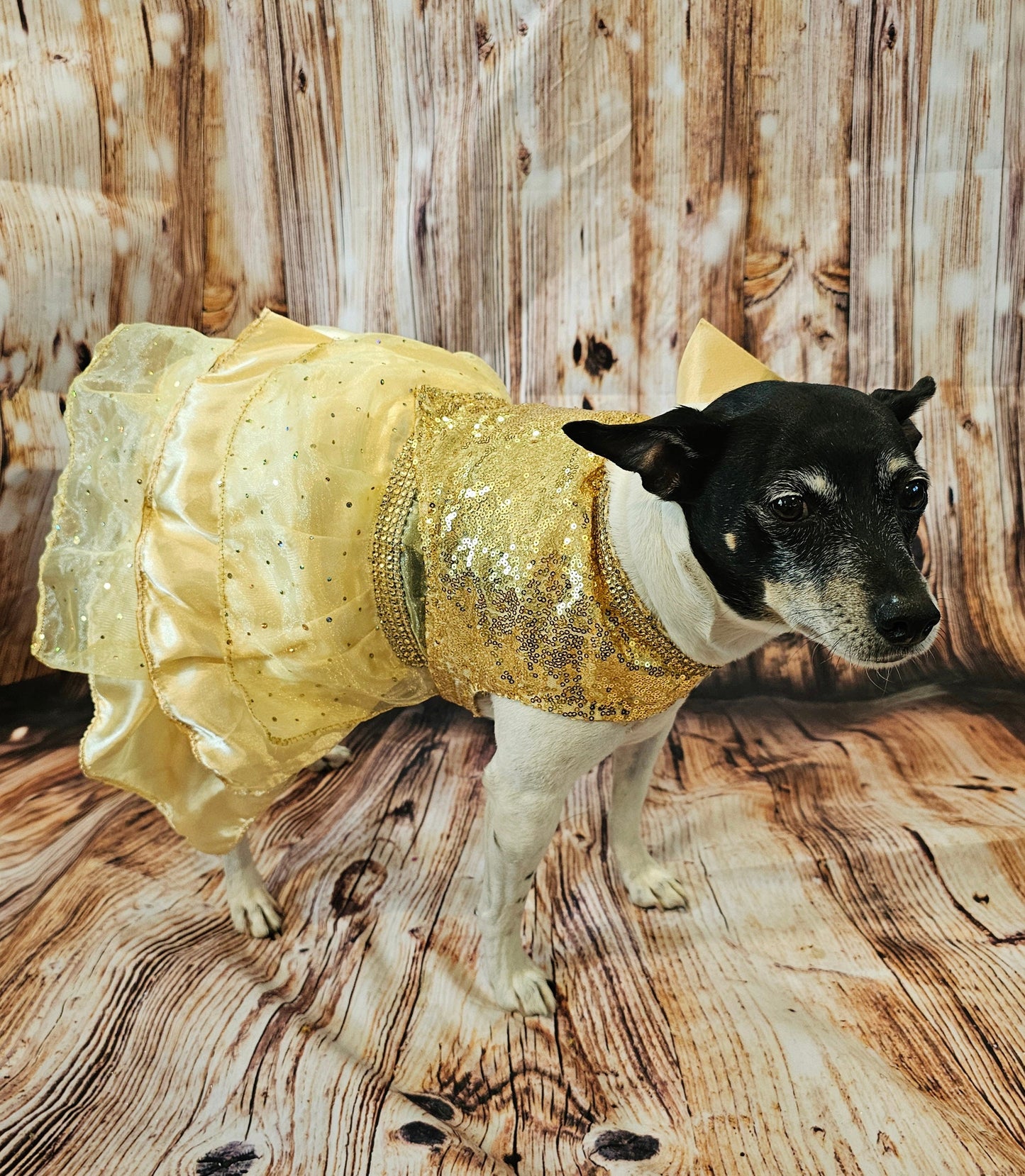 Gold 80's Pet Prom Dress, 80's Dog prom dress, 80's cat prom dress, 80'Pet Costume, 80's pet dresses, sequin pet prom dress, yellow pet prom
