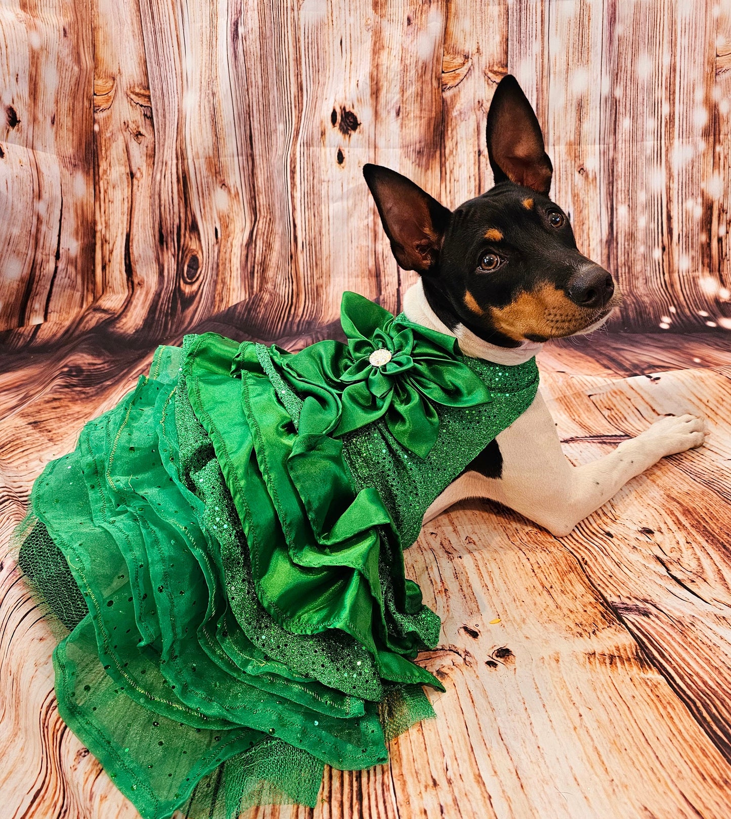 Green Christmas pet dress, green 80s prom pet dress, green dog dress, Christmas dog dress, Christmas cat dress, special occasion pet dress