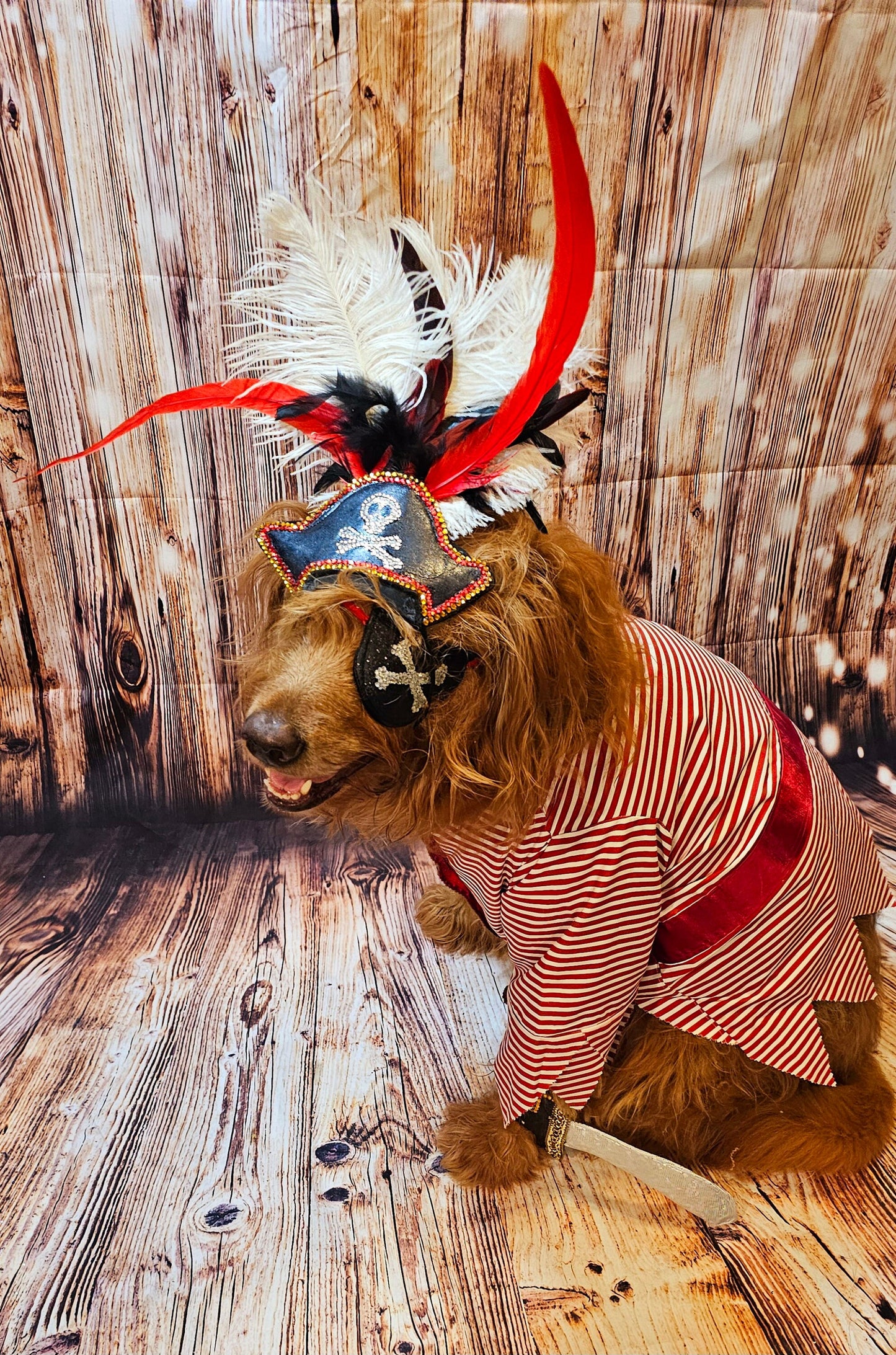- Pirate pet costume, Pirate dog Costume