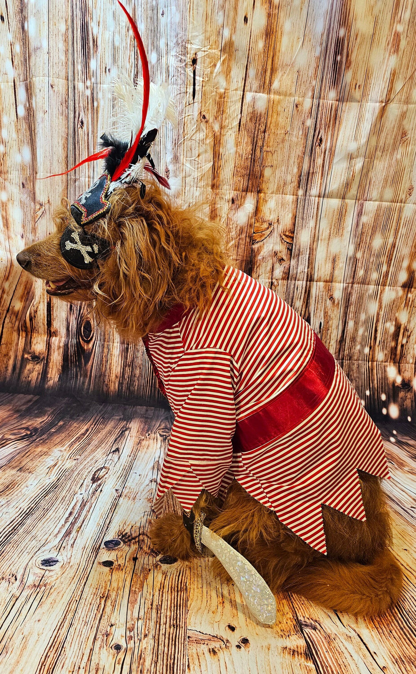 - Pirate pet costume, Pirate dog Costume