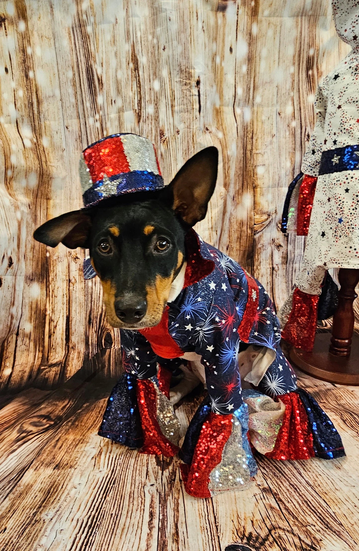 July 4th pet costume, July 4th pet costume, Independence day pet costume, red, white, and blue pet costume, 4th of July dog pet costume