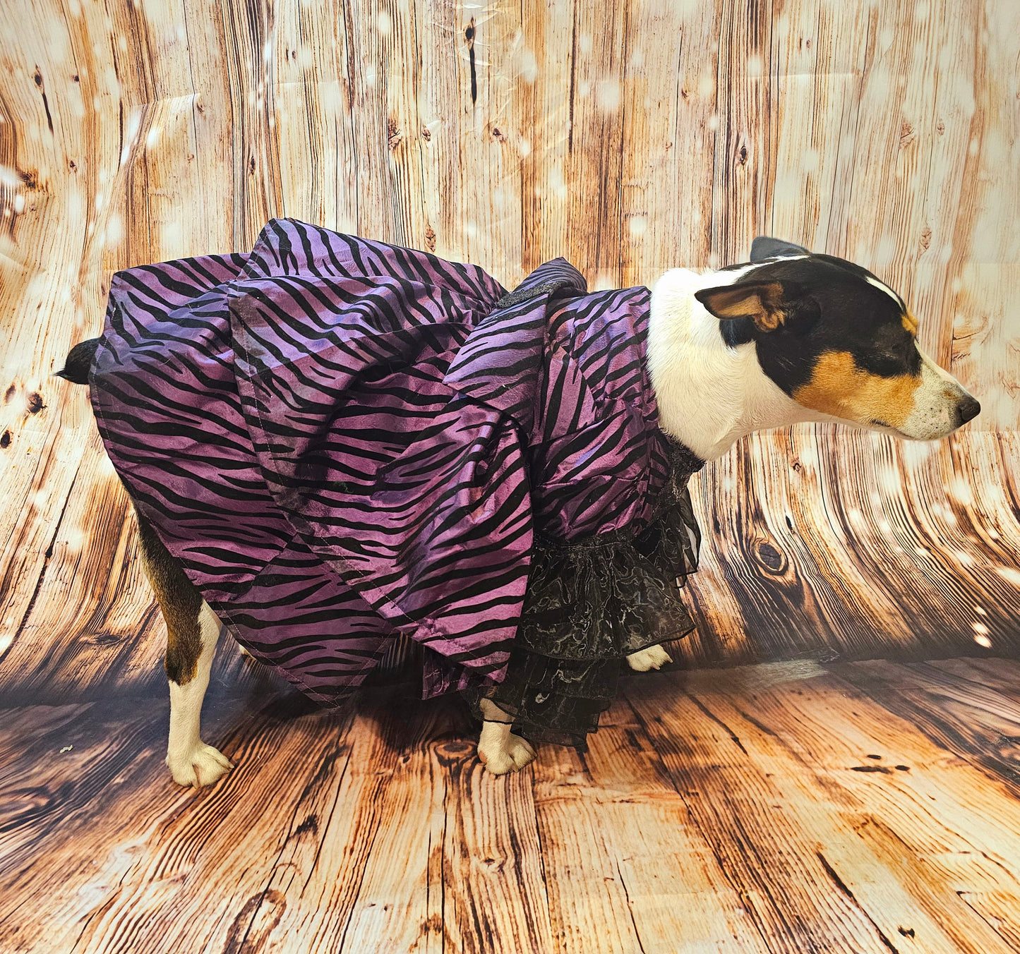 Zebra purple pet dress, 80's Pet Prom Dress, 80's Dog prom dress, 80's cat prom dress, 80'Pet Costume, 80's pet dresses, zebra pet prom