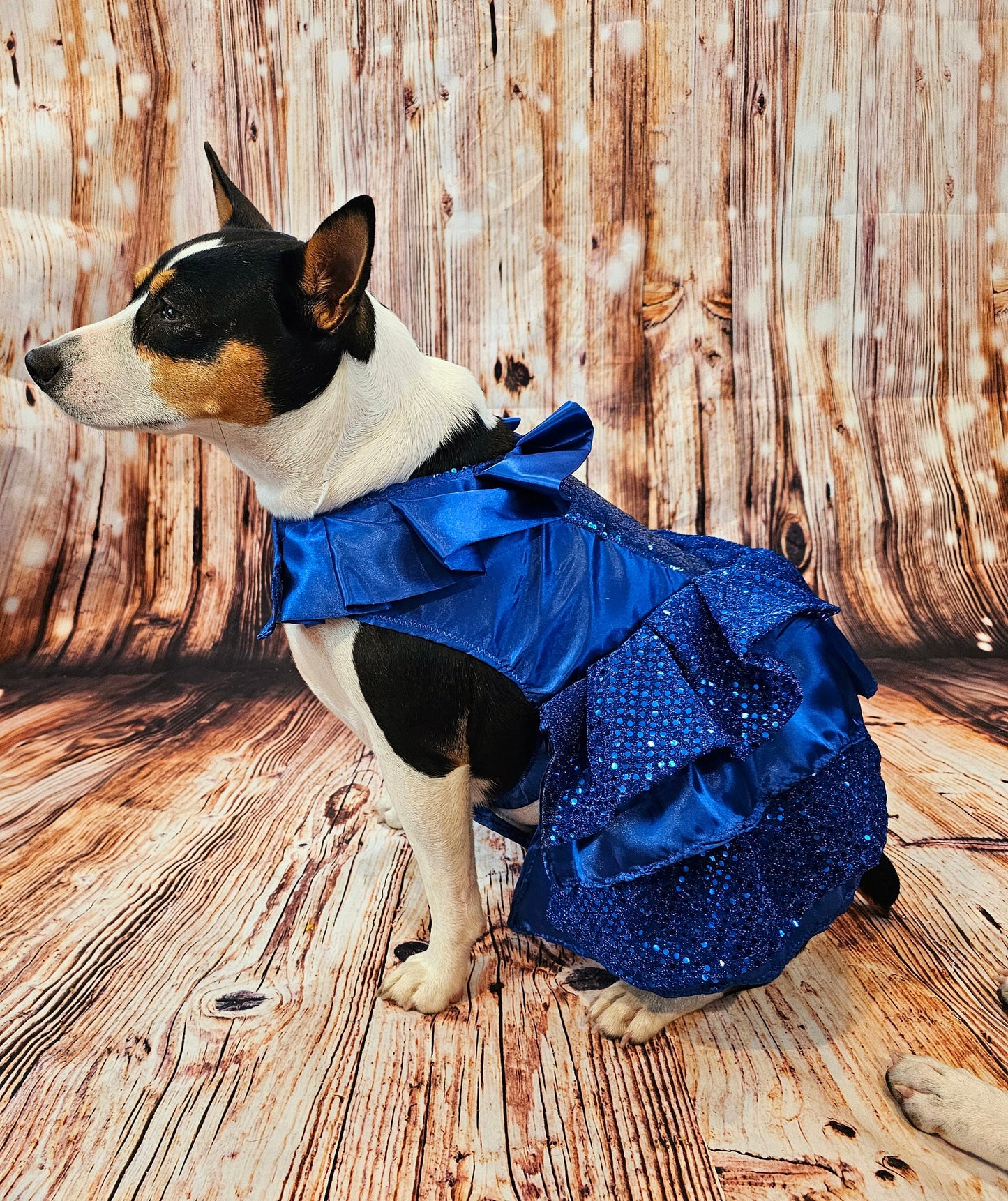 Blue 80's Pet Prom Dress, 80's Dog prom dress, 80's cat prom dress, 80'Pet Costume, 80's pet dresses, sequin pet dress, 80's prom pet