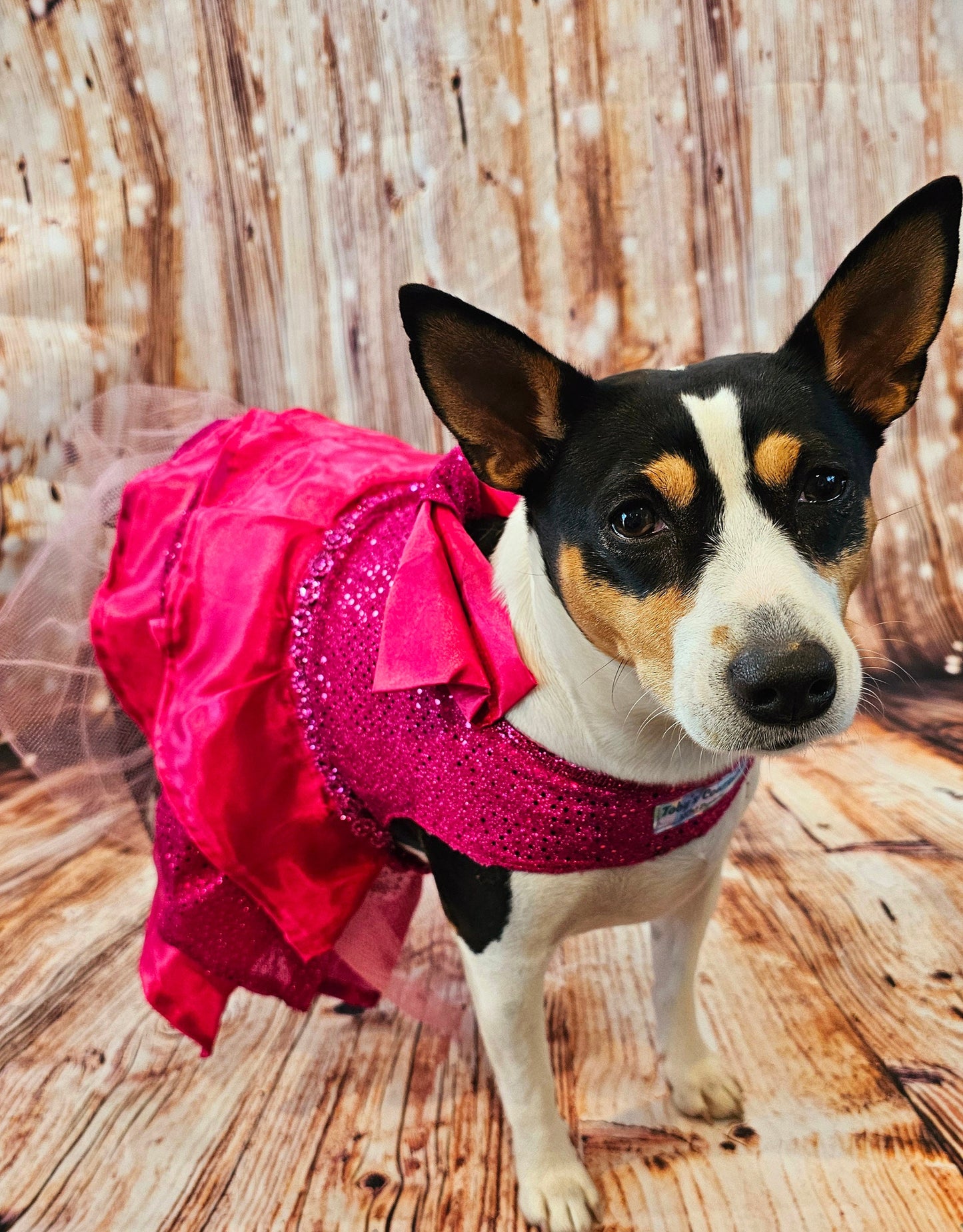 Pink 80's Pet Prom Dress, 80's Dog prom dress, 80's cat prom dress, 80'Pet Costume, 80's pet dresses, sequin pet prom dress, 80s pet prom