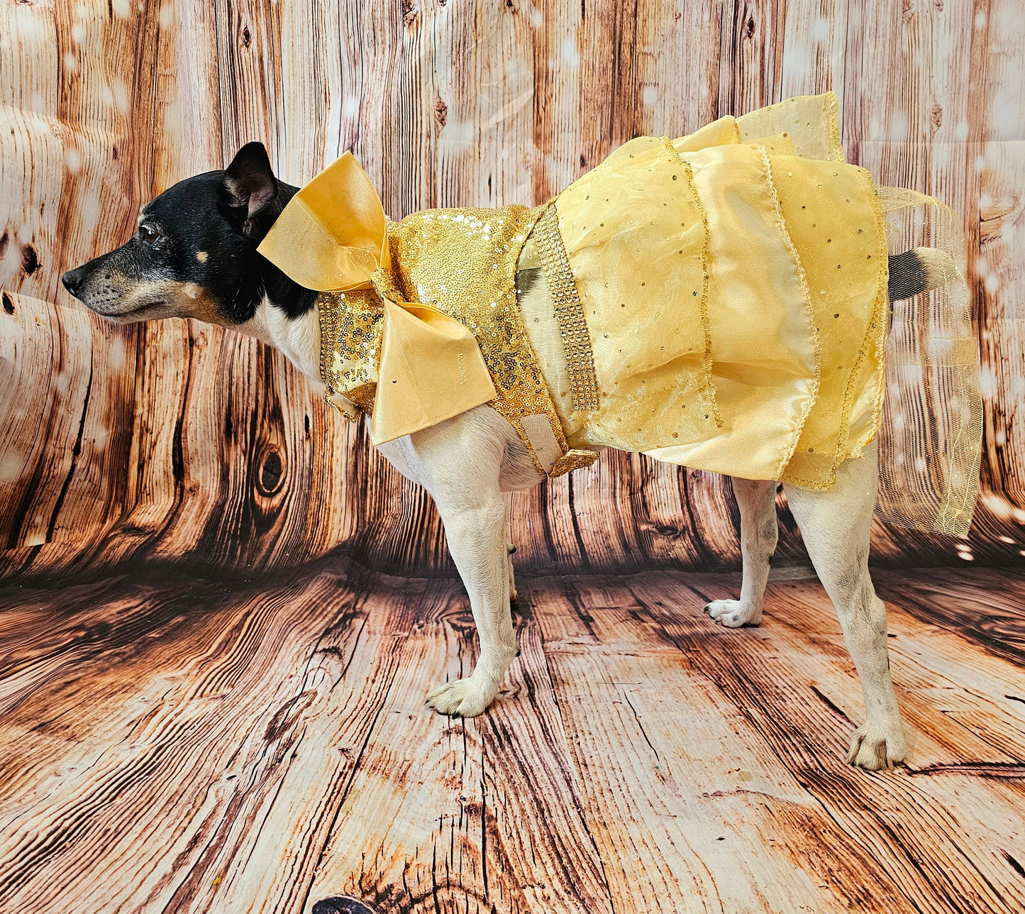 Gold 80's Pet Prom Dress, 80's Dog prom dress, 80's cat prom dress, 80'Pet Costume, 80's pet dresses, sequin pet prom dress, yellow pet prom