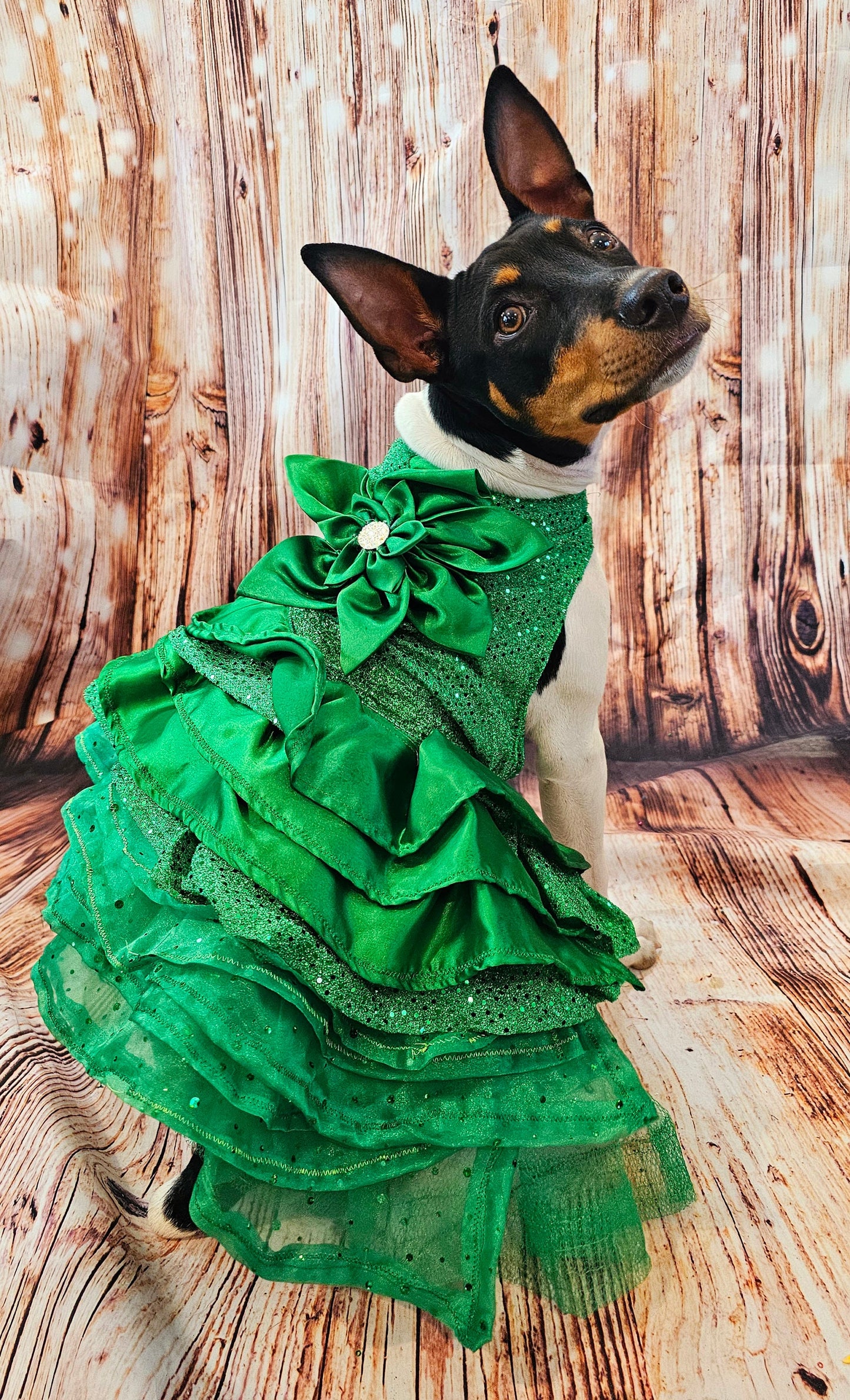 Green Christmas pet dress, green 80s prom pet dress, green dog dress, Christmas dog dress, Christmas cat dress, special occasion pet dress