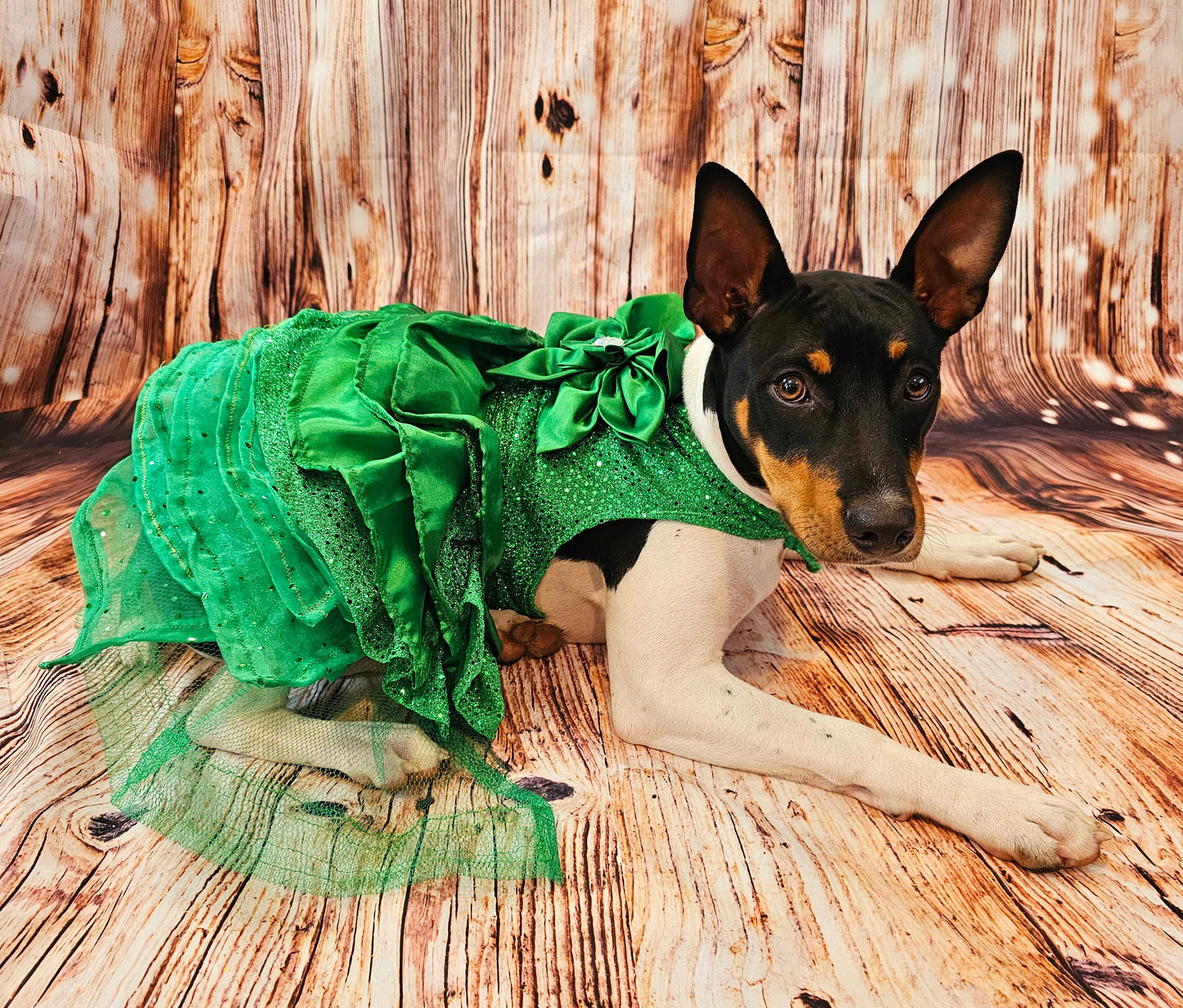 Green Christmas pet dress, green 80s prom pet dress, green dog dress, Christmas dog dress, Christmas cat dress, special occasion pet dress