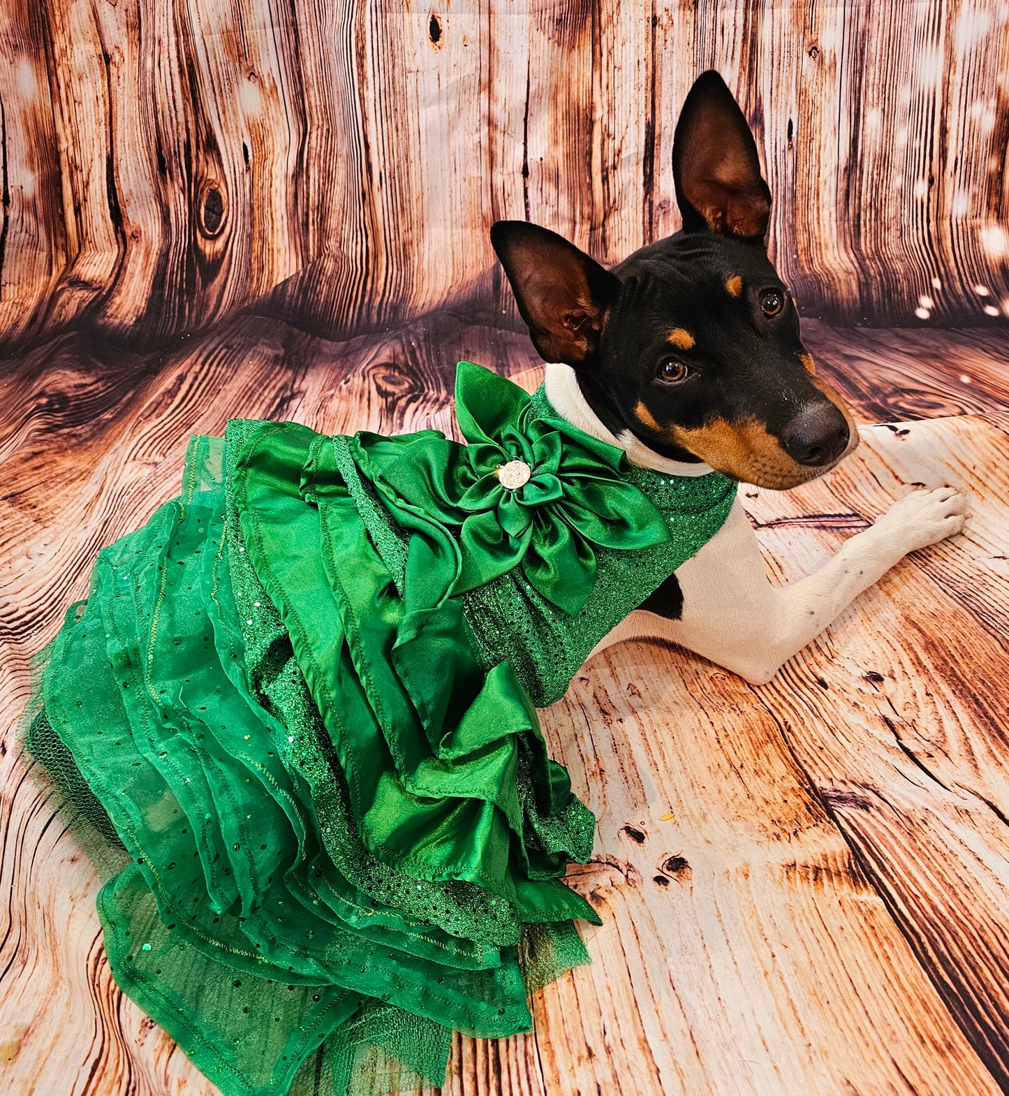 Green Christmas pet dress, green 80s prom pet dress, green dog dress, Christmas dog dress, Christmas cat dress, special occasion pet dress