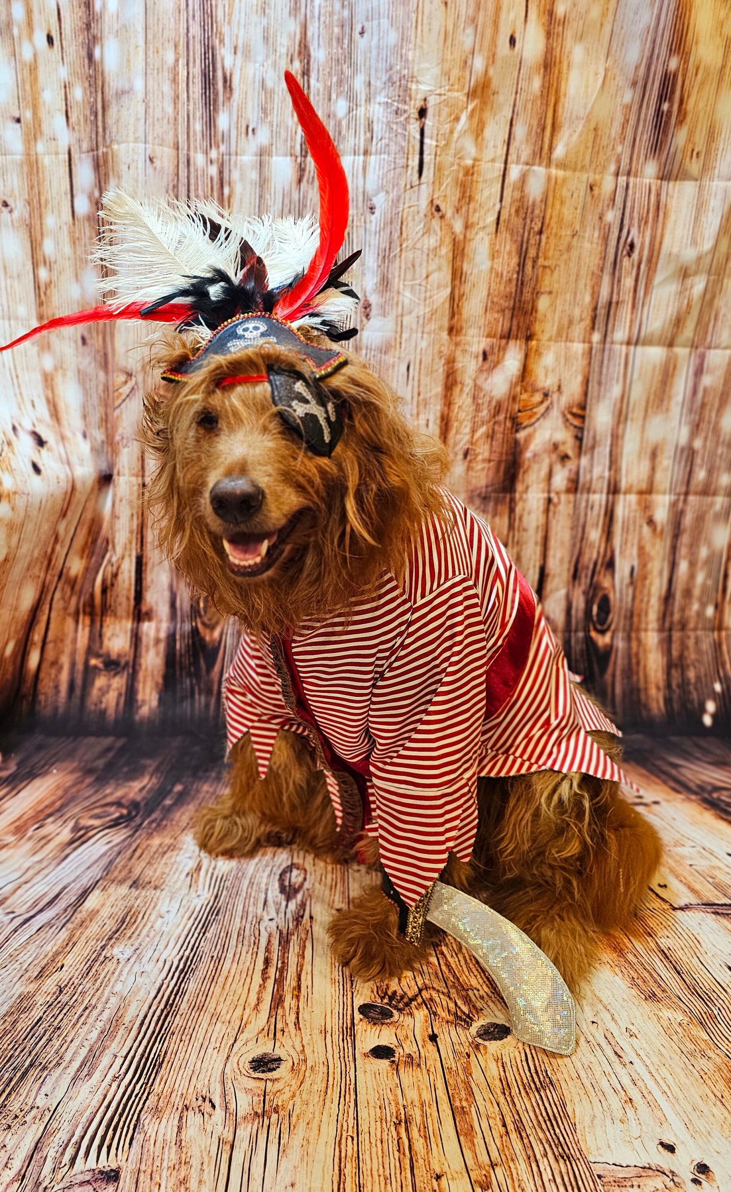 - Pirate pet costume, Pirate dog Costume
