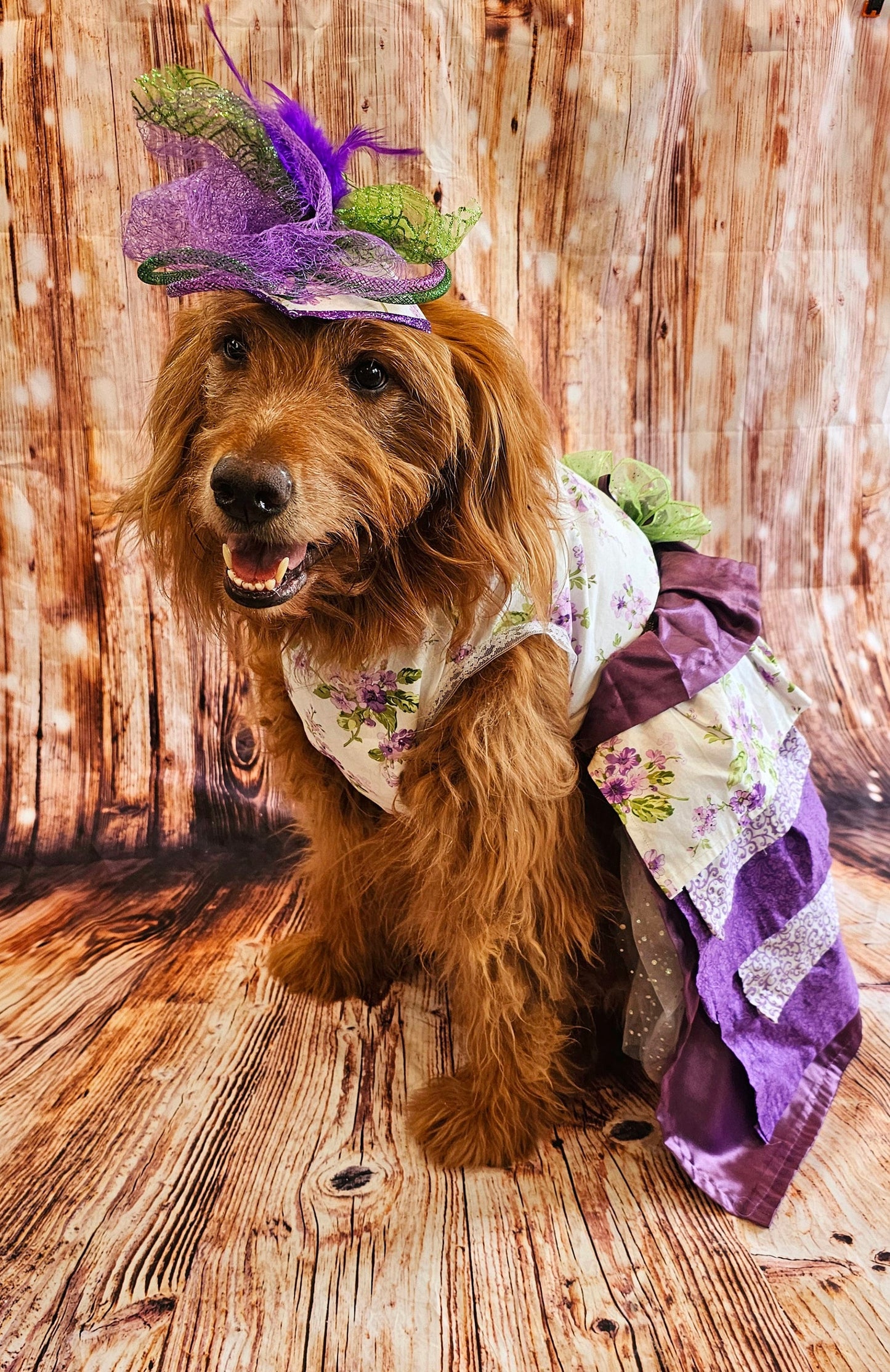 Kentucky derby pet hat and dress, Kentucky Derby dog hat and dress, Canine couture, Kentucky Derby pet costume, pet fasinator, dog fasinator