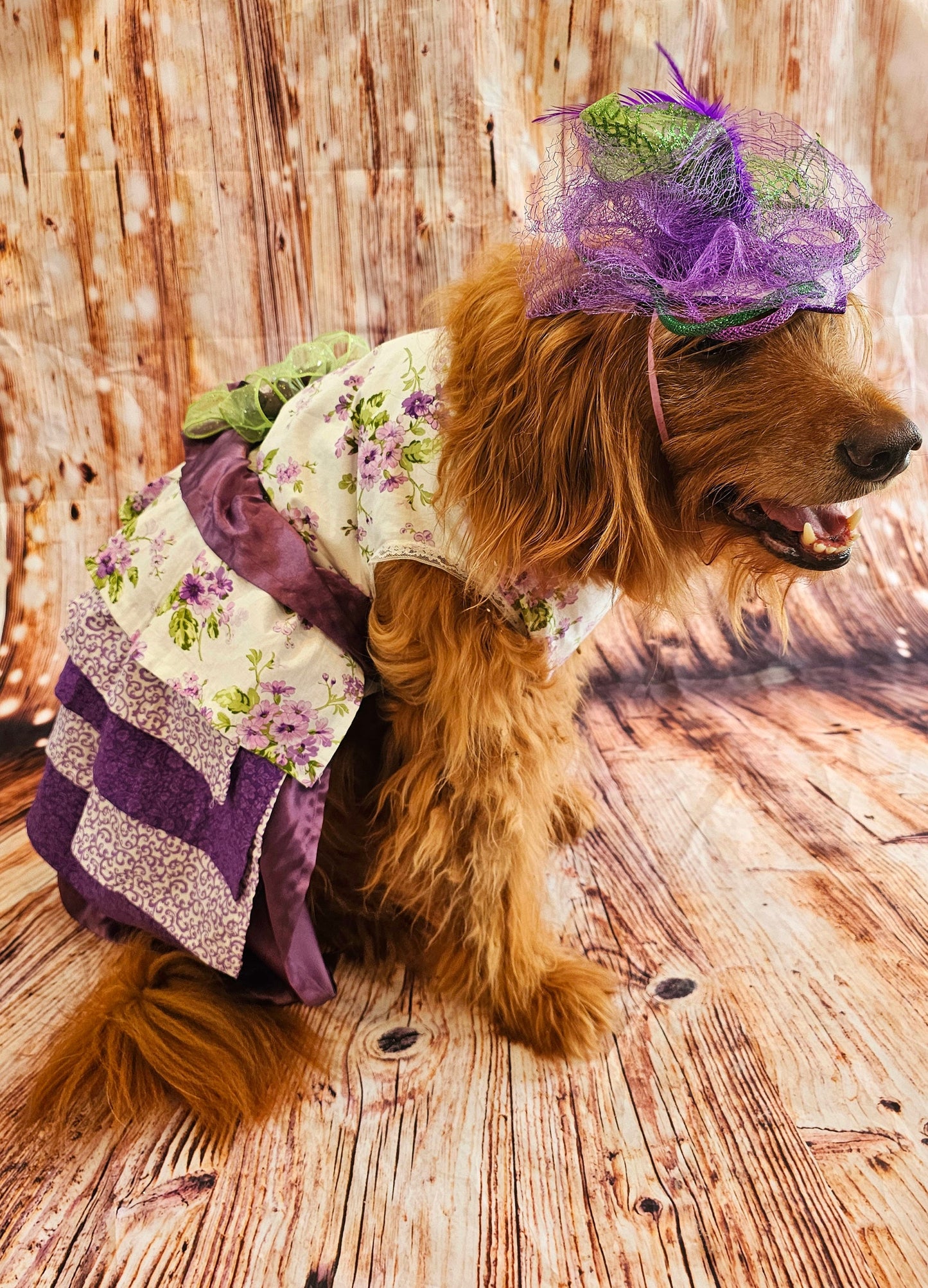 Kentucky derby pet hat and dress, Kentucky Derby dog hat and dress, Canine couture, Kentucky Derby pet costume, pet fasinator, dog fasinator