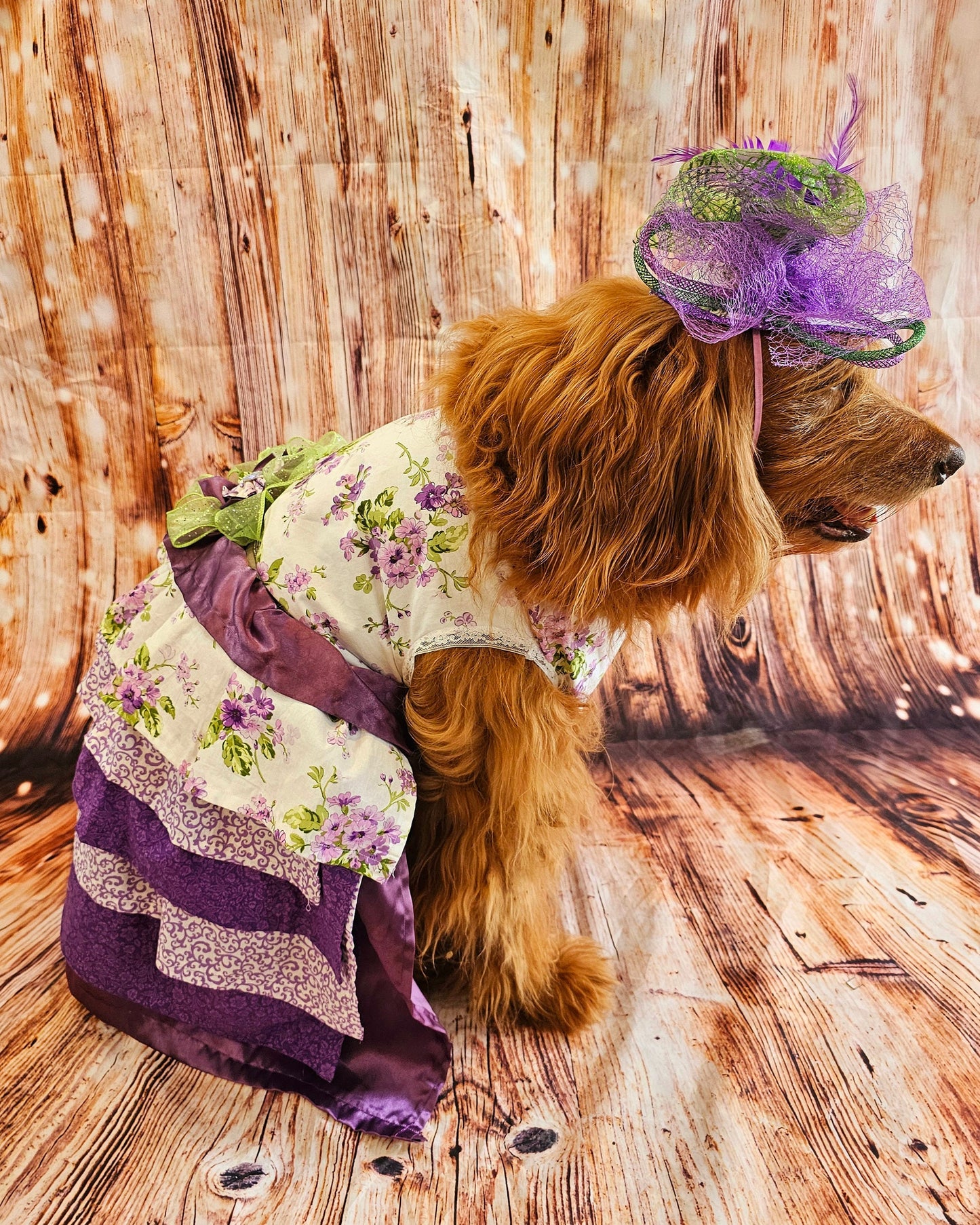 Kentucky derby pet hat and dress, Kentucky Derby dog hat and dress, Canine couture, Kentucky Derby pet costume, pet fasinator, dog fasinator