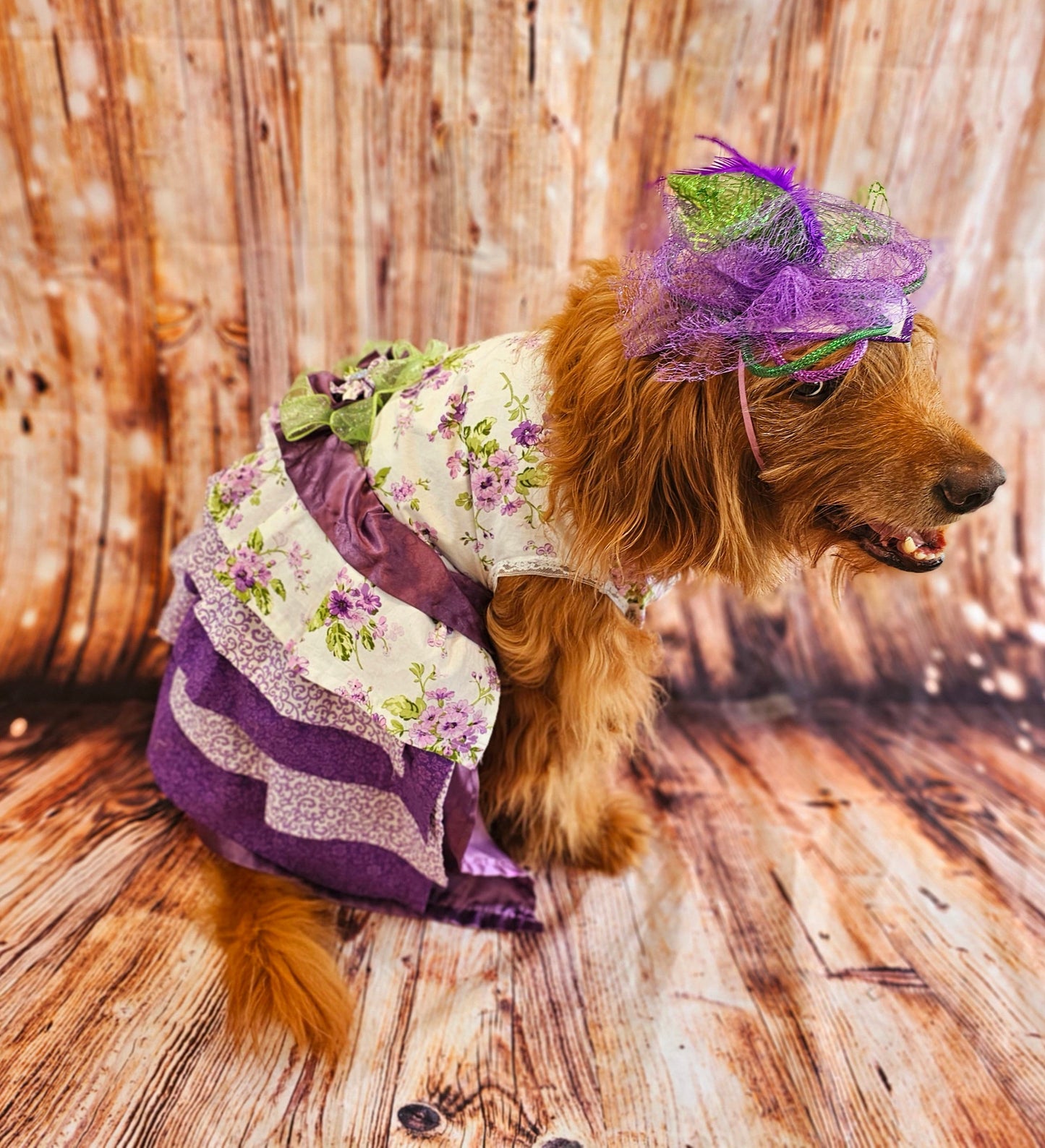 Kentucky derby pet hat and dress, Kentucky Derby dog hat and dress, Canine couture, Kentucky Derby pet costume, pet fasinator, dog fasinator