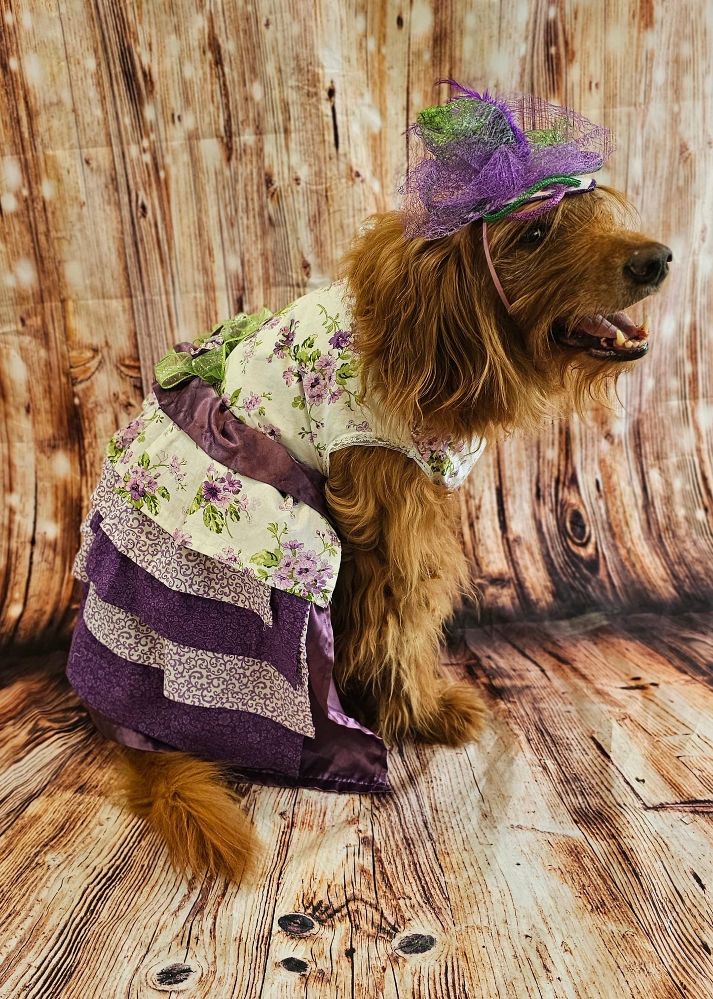 Kentucky derby pet hat and dress, Kentucky Derby dog hat and dress, Canine couture, Kentucky Derby pet costume, pet fasinator, dog fasinator