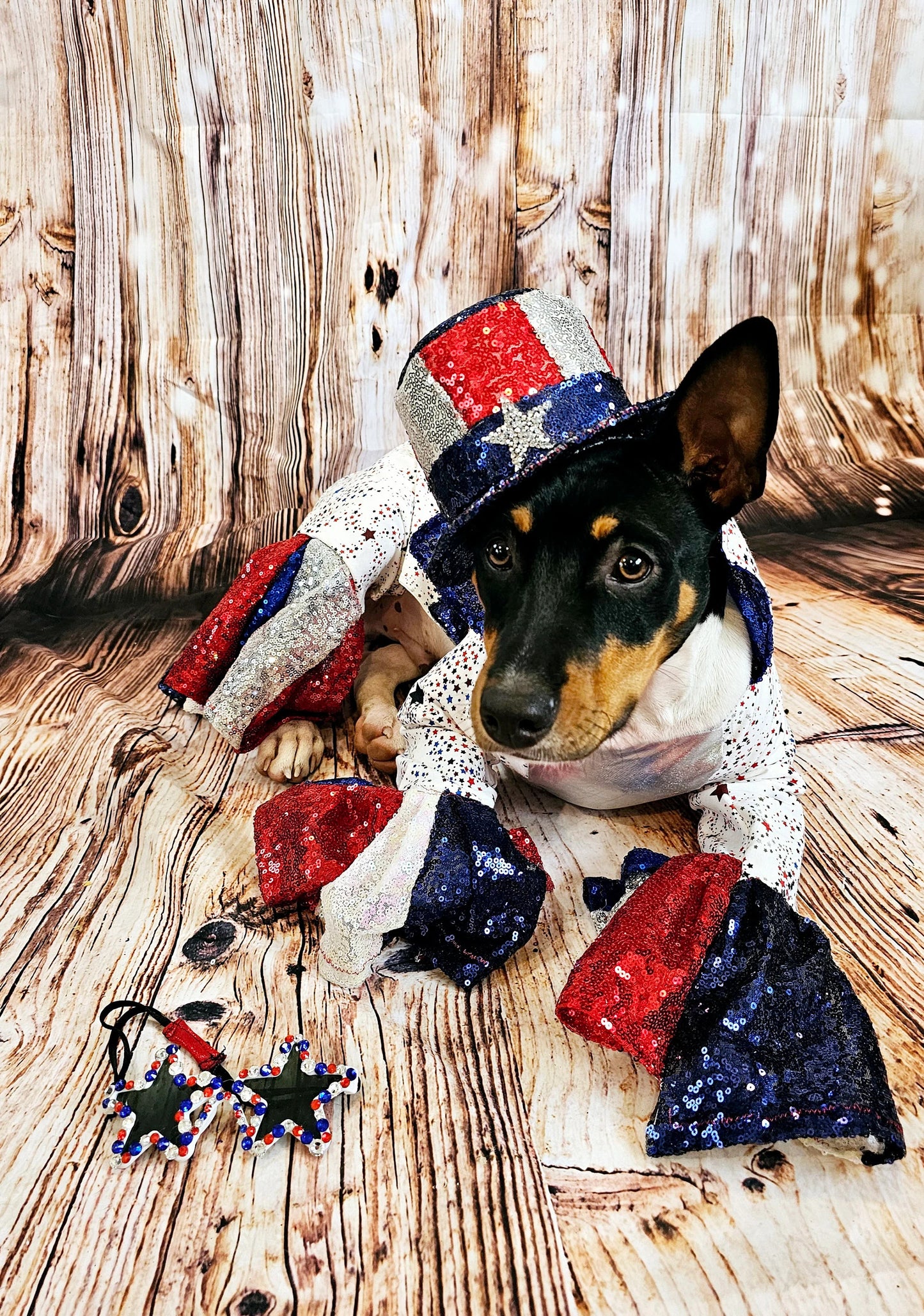 July 4th pet costume, July 4th pet costume, Independence day pet costume, red, white, and blue pet costume, 4th of July dog pet costume