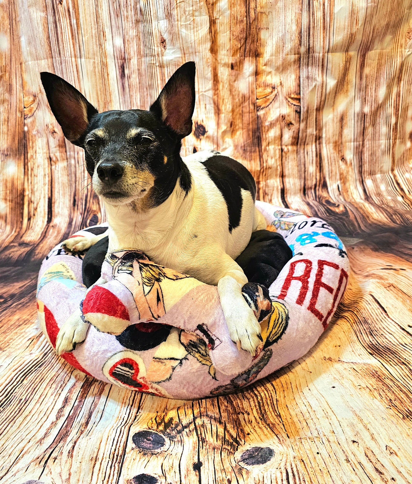 Taylor Swift round pet bed, Taylor Swift round dog bed, Taylor Swift round cat bed, Taylor Swift pet travel bed, Taylor Swift pet bed
