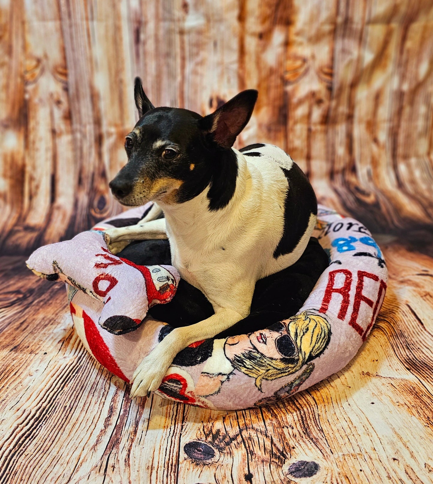 Taylor Swift round pet bed, Taylor Swift round dog bed, Taylor Swift round cat bed, Taylor Swift pet travel bed, Taylor Swift pet bed