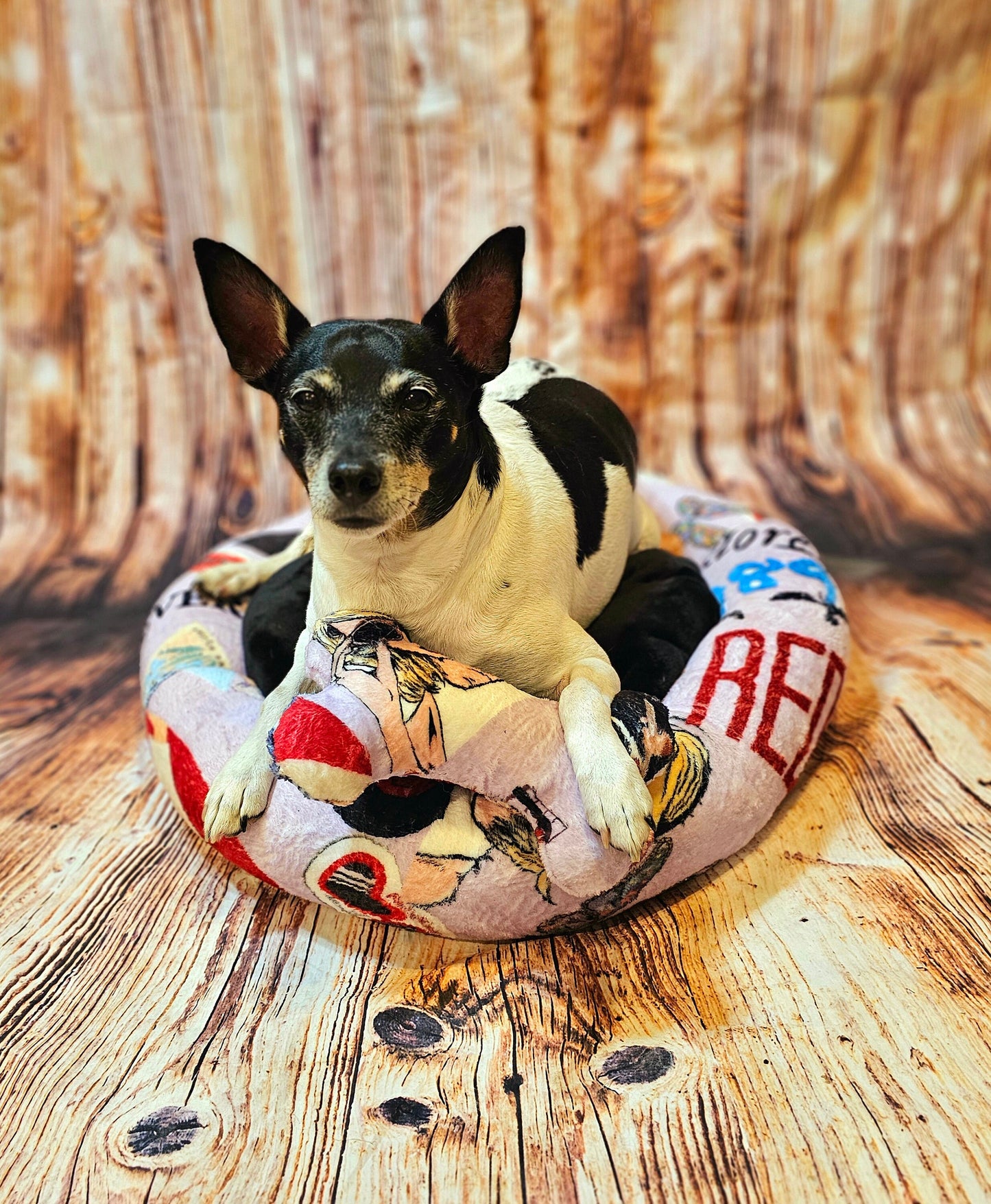 Taylor Swift round pet bed, Taylor Swift round dog bed, Taylor Swift round cat bed, Taylor Swift pet travel bed, Taylor Swift pet bed