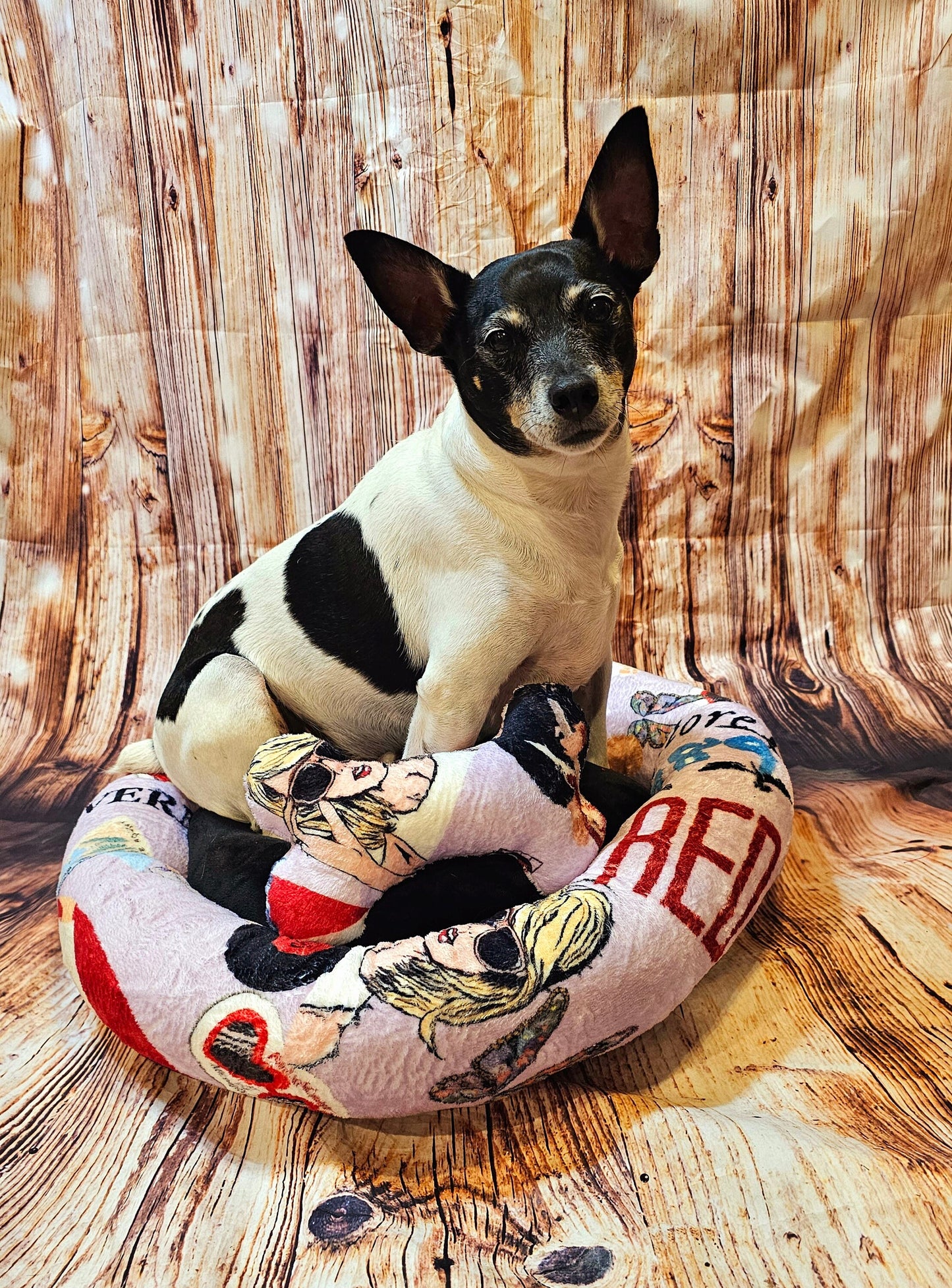 Taylor Swift round pet bed, Taylor Swift round dog bed, Taylor Swift round cat bed, Taylor Swift pet travel bed, Taylor Swift pet bed