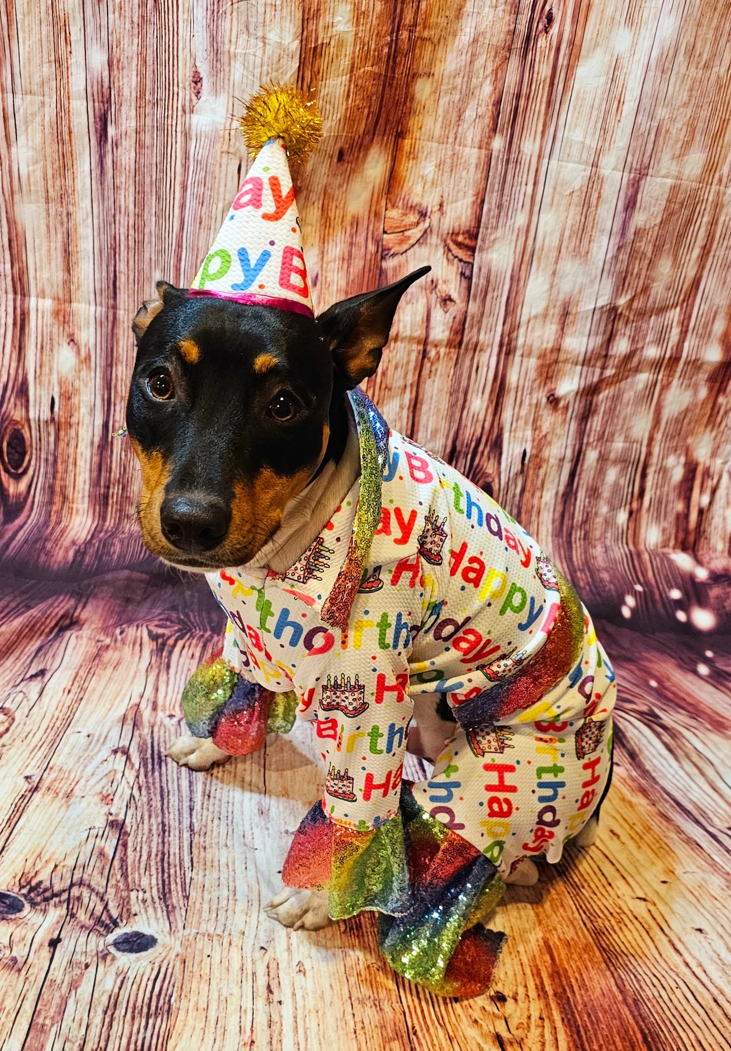 Birthday Boy Pet costume, Birthday boy dog costume, Happy Birthday sequin Pet suit and hat, Birthday Pet suit and hat, Birthday Pet body suit