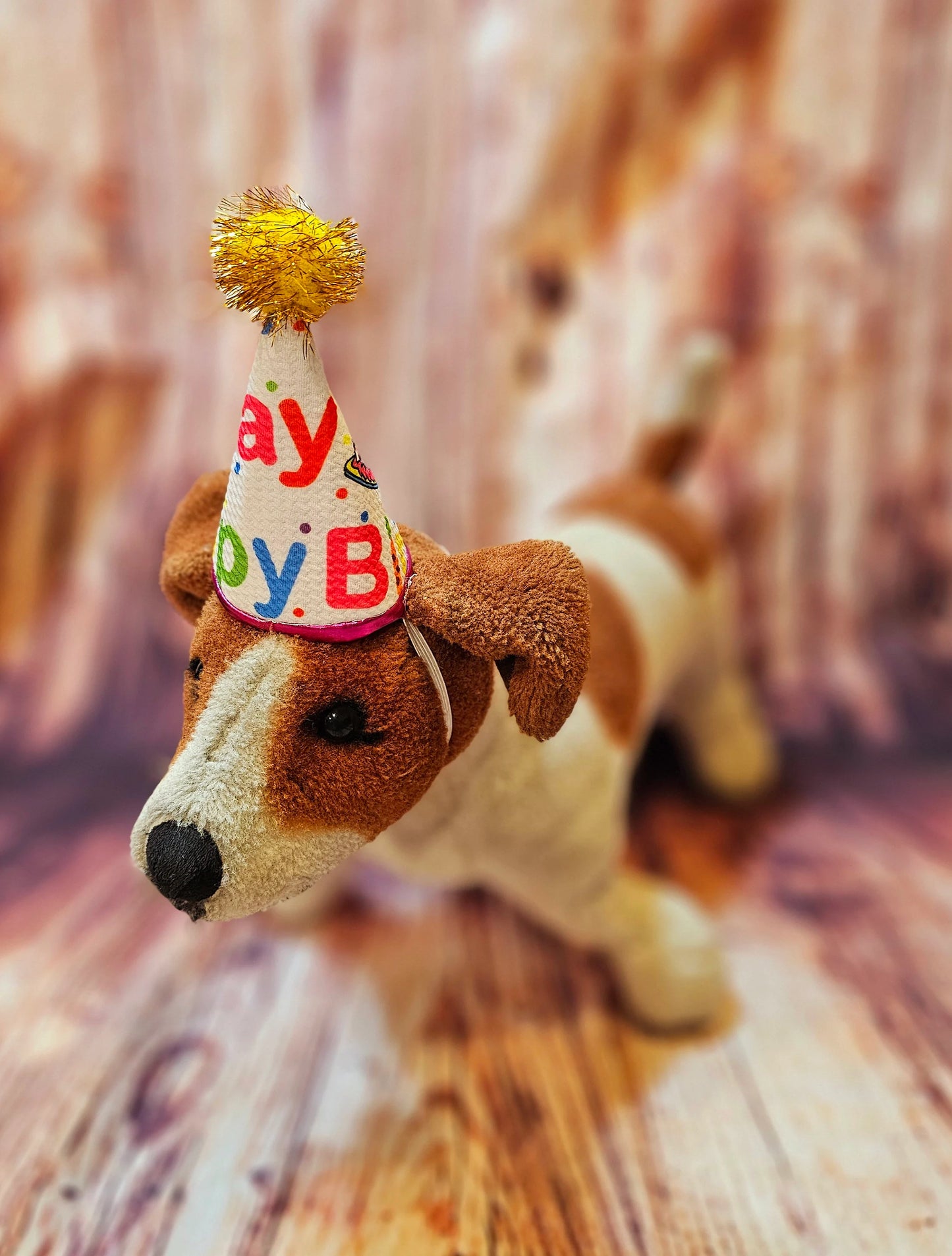 Pet Birthday Hat, Dog Birthday Hat, Happy Birthday dog hat, Happy Birthday cat hat, celebration pet hat, celebration Dog hat