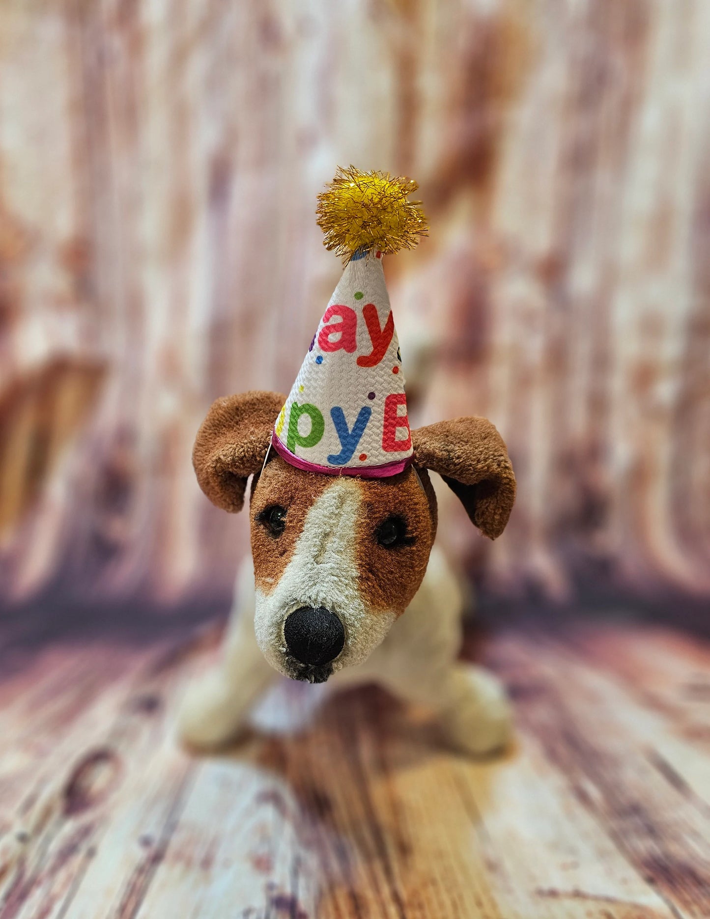 Pet Birthday Hat, Dog Birthday Hat, Happy Birthday dog hat, Happy Birthday cat hat, celebration pet hat, celebration Dog hat