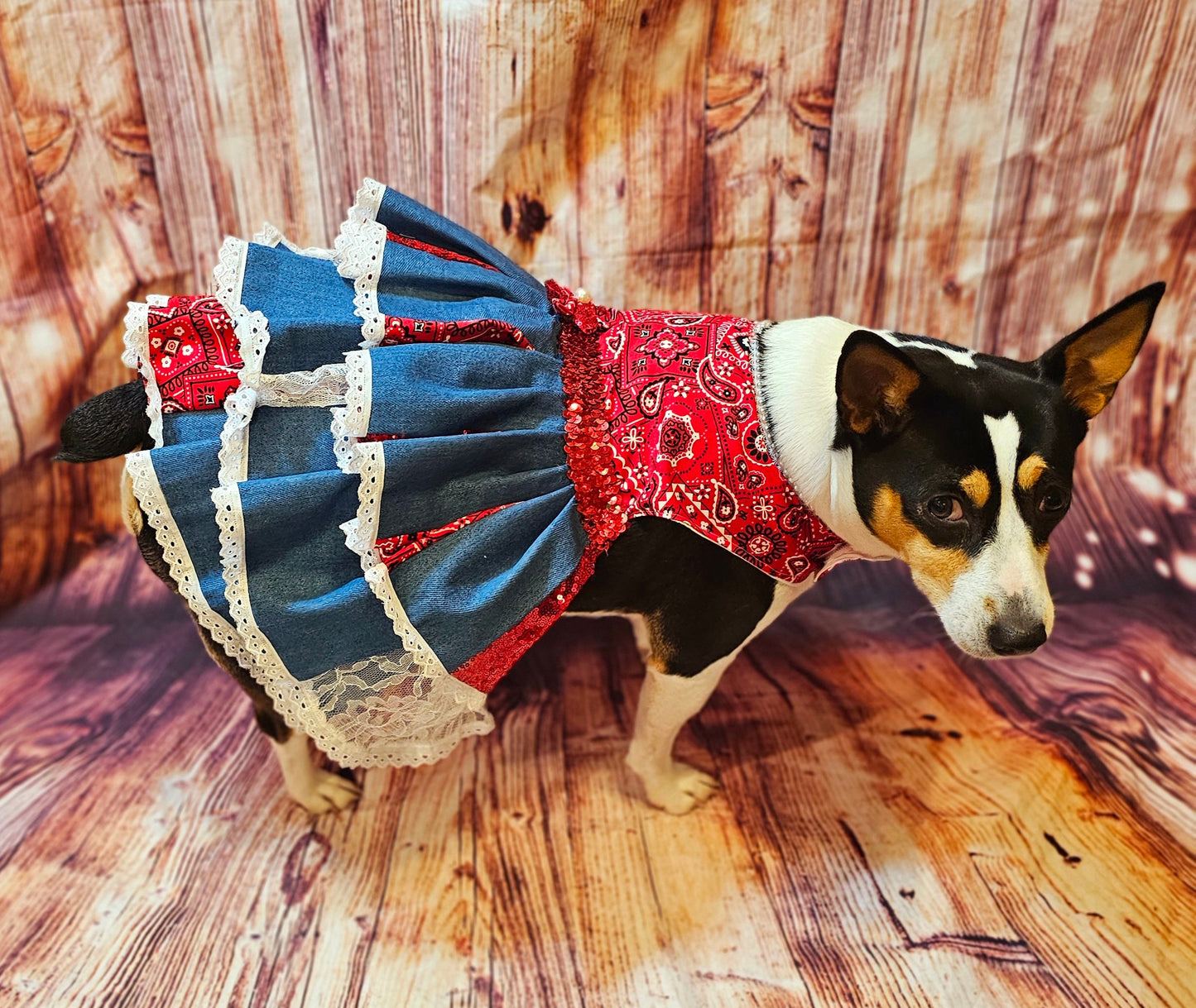 - Western cowgirl pet dress, Country western pet dress