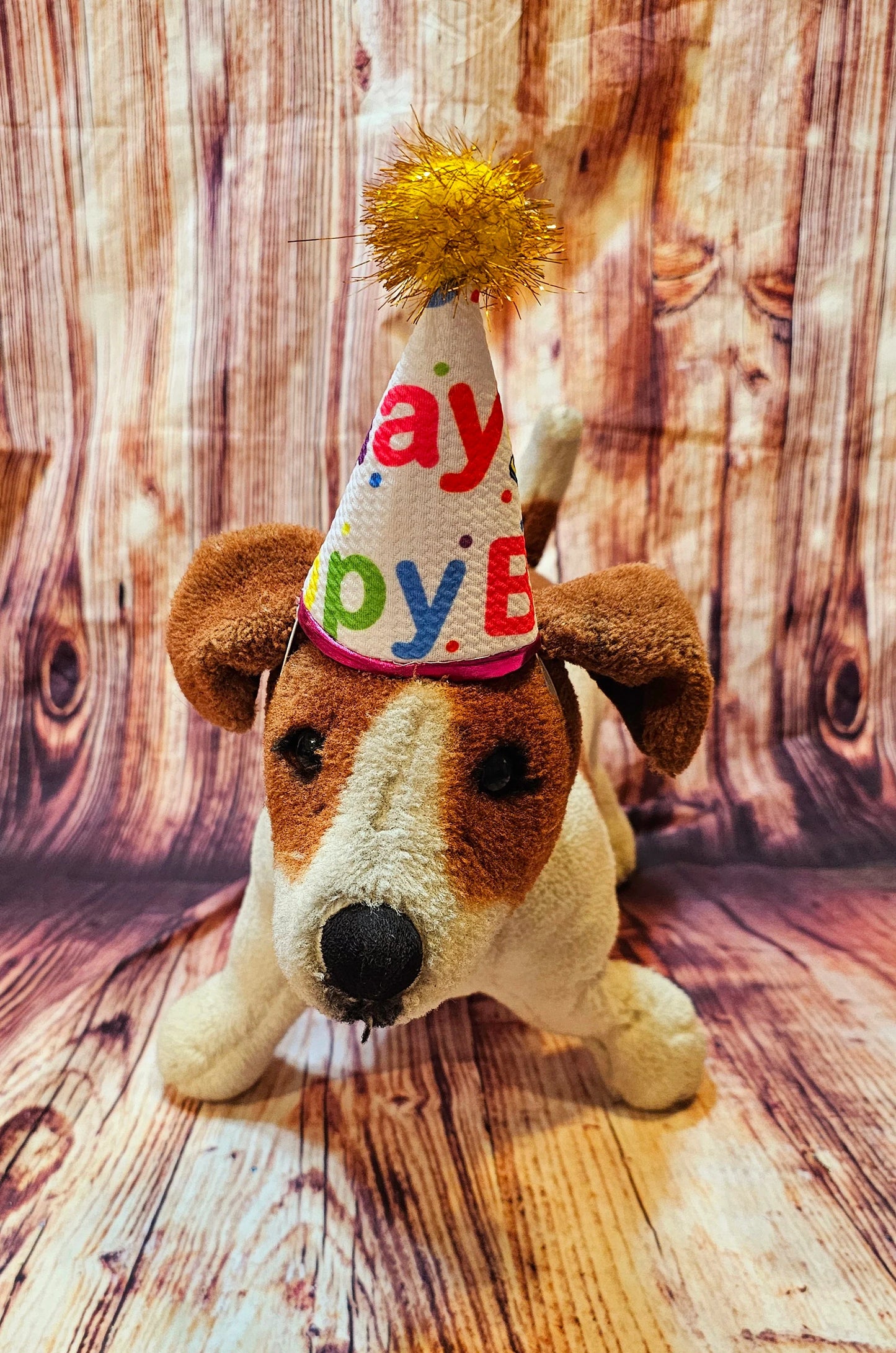 Pet Birthday Hat, Dog Birthday Hat, Happy Birthday dog hat, Happy Birthday cat hat, celebration pet hat, celebration Dog hat