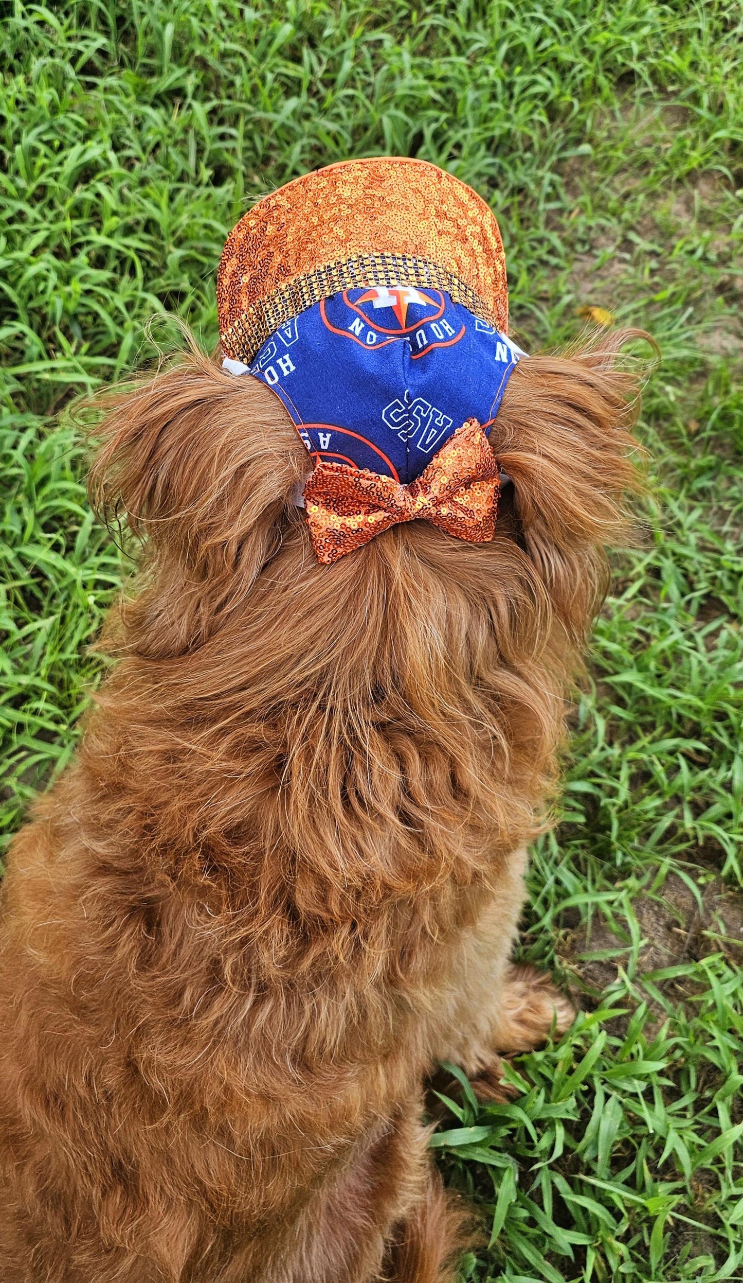 Pet sequin hat, pet astros sequin hat, dog astros sequin hat, pet hats, dog hats, Houston astro sequin hat, hats for dogs