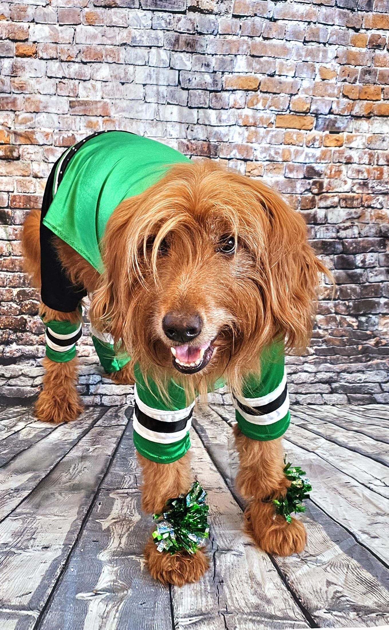 Dallas Stars pet costume, Dallas Star dog costume, Green pet Dancer costume, Green cheerleading pet costume, Dallas Stars cat costume
