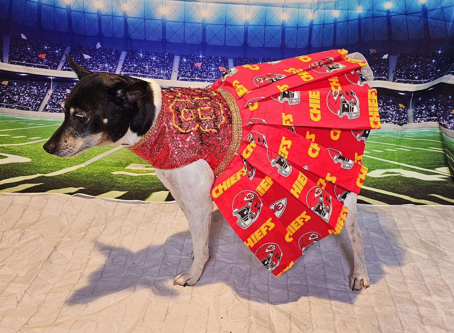 Kansas City Chiefs pet dress, karma is the guy on the chiefs pet dress, chiefs sequin pet dress, chiefs dog dress, 87 kelce pet dress