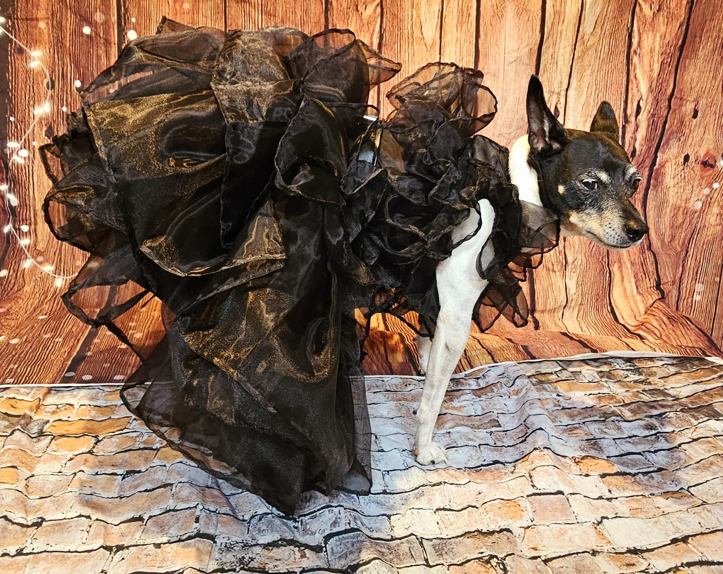 - Wednesday Raven Pet Prom dress, Wednesday Pet Costume, Wednesday Raven Dog dress, Wednesday dog costume, Wednesday Cat Dress, Raven Pet