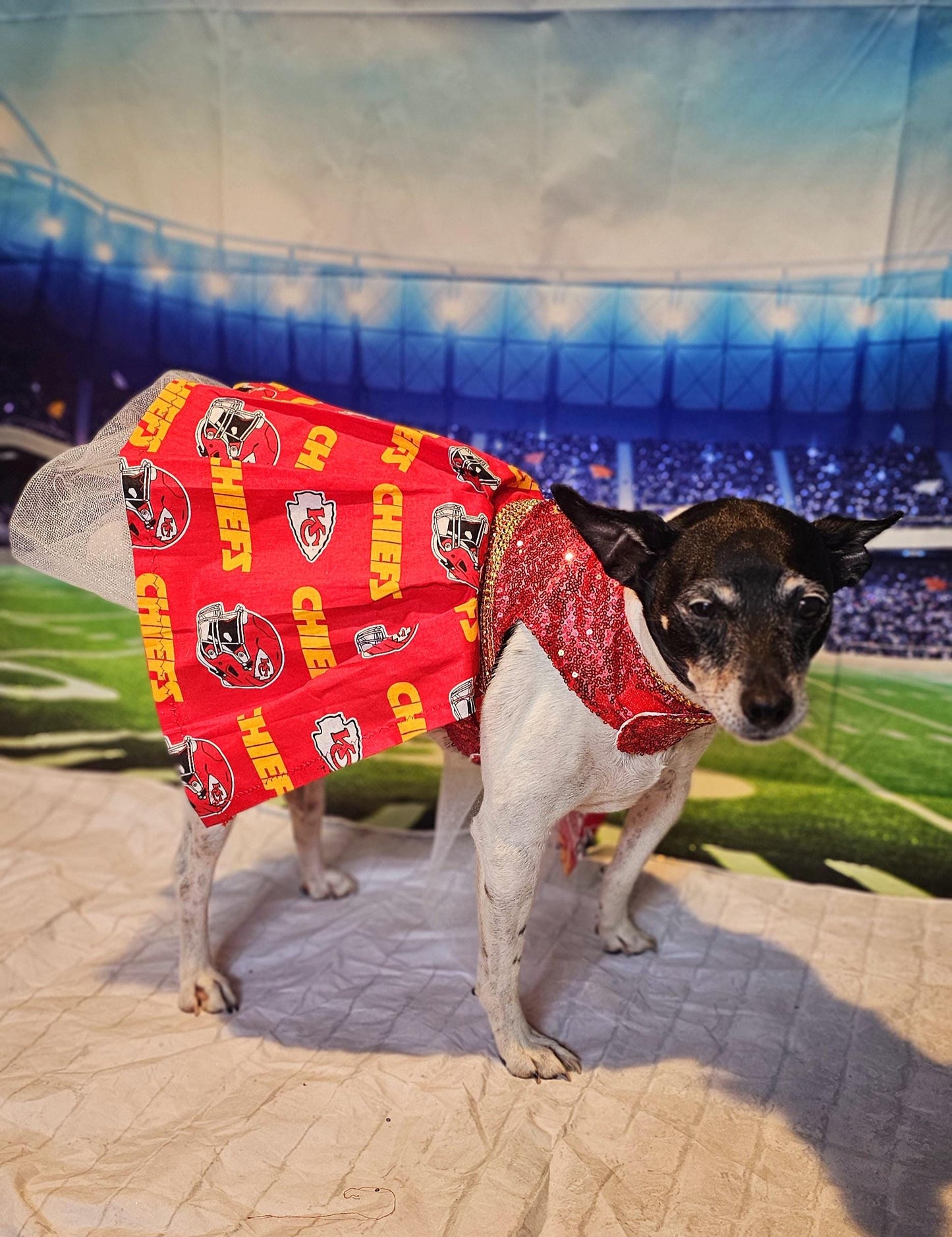 Kansas City Chiefs pet dress, karma is the guy on the chiefs pet dress, chiefs sequin pet dress, chiefs dog dress, 87 kelce pet dress