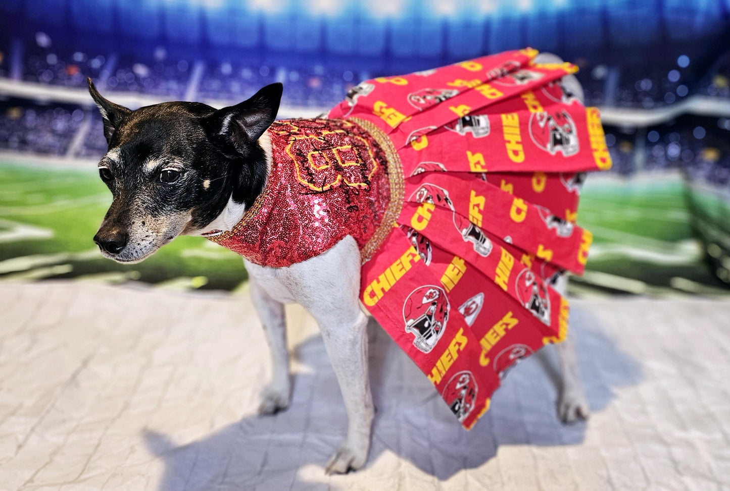Kansas City Chiefs pet dress, karma is the guy on the chiefs pet dress, chiefs sequin pet dress, chiefs dog dress, 87 kelce pet dress