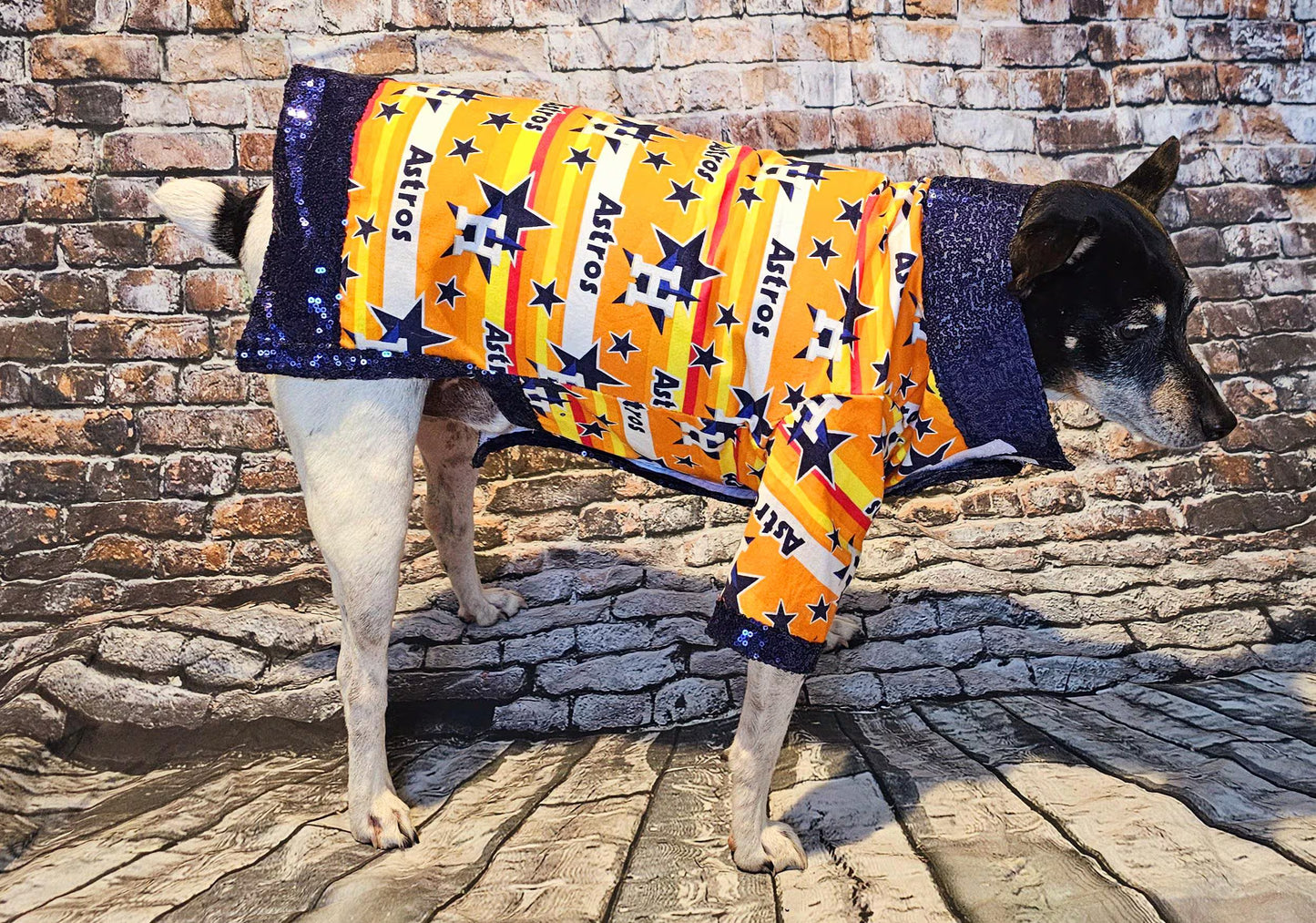 Houston Astros sequin Pet Shirt, Astros Pet shirt, Houston Astros dog shirt, vintage Astros Pet shirt, Astros sequin pet shirt, Astros collar pet