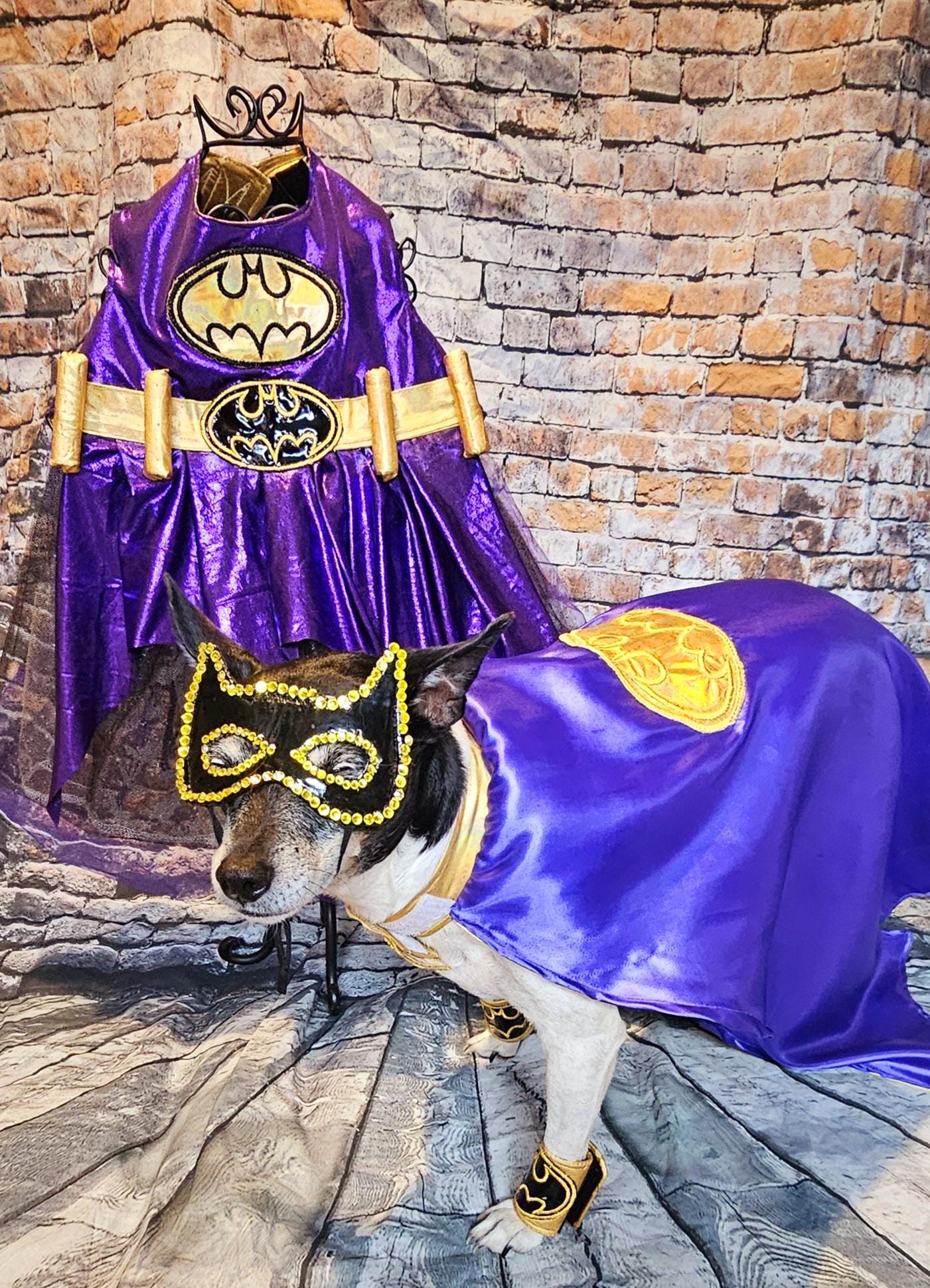 Batgirl pet costume, Batgirl dog costume, Batgirl cat costume, Batgirl pet cape, Batgirl Halloween costume, pet Batgirl, dog Batgirl costume