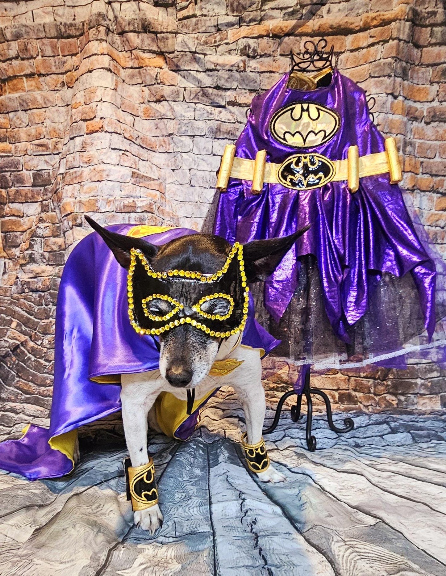 Batgirl pet costume, Batgirl dog costume, Batgirl cat costume, Batgirl pet cape, Batgirl Halloween costume, pet Batgirl, dog Batgirl costume