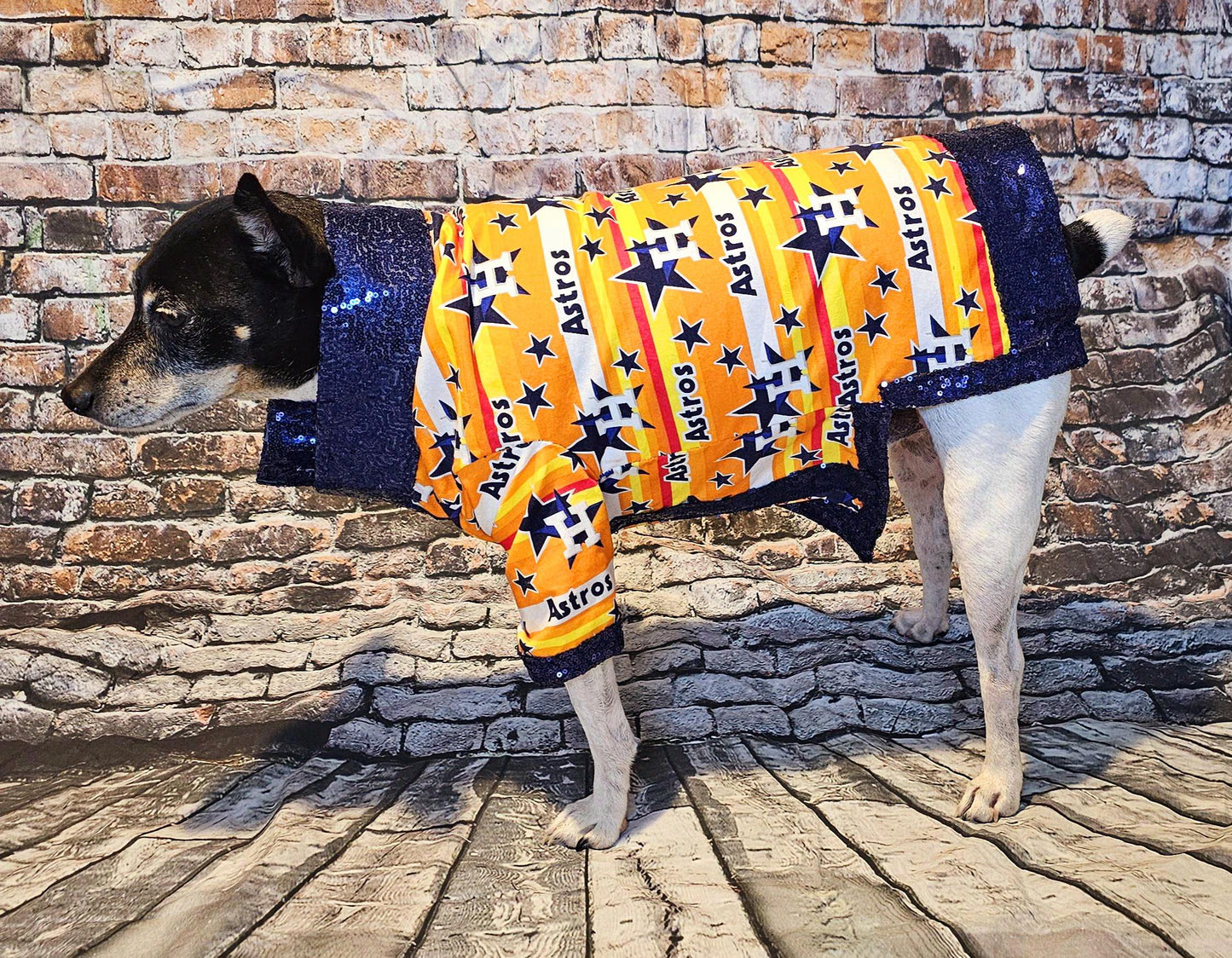 Houston Astros sequin Pet Shirt, Astros Pet shirt, Houston Astros dog shirt, vintage Astros Pet shirt, Astros sequin pet shirt, Astros collar pet