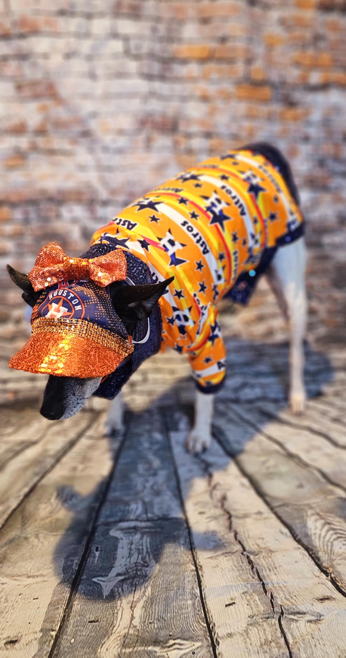 Pet sequin hat, pet astros sequin hat, dog astros sequin hat, pet hats, dog hats, Houston astro sequin hat, hats for dogs