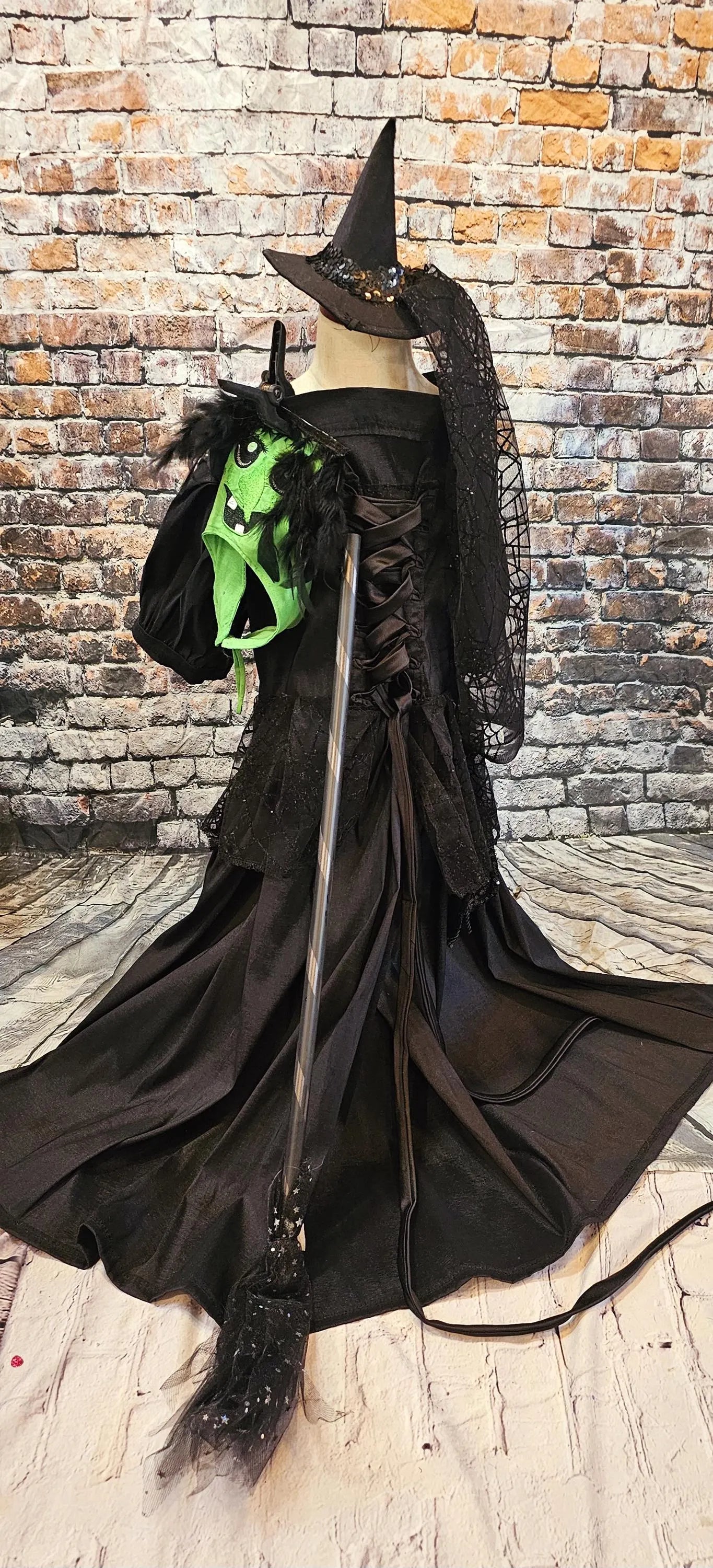 - Wicked Witch of the West pet costume, Elphaba pet costume, wicked witch of the west dog costume, wicked witch of the west cat costume
