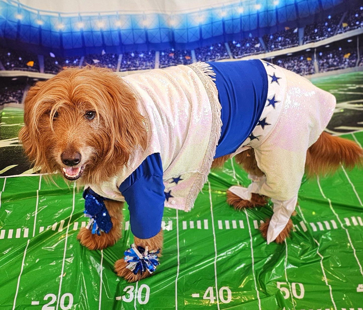 - Pet glitter Cheerleader, Cowboy dog cheerleader, cowboy cat cheerleader