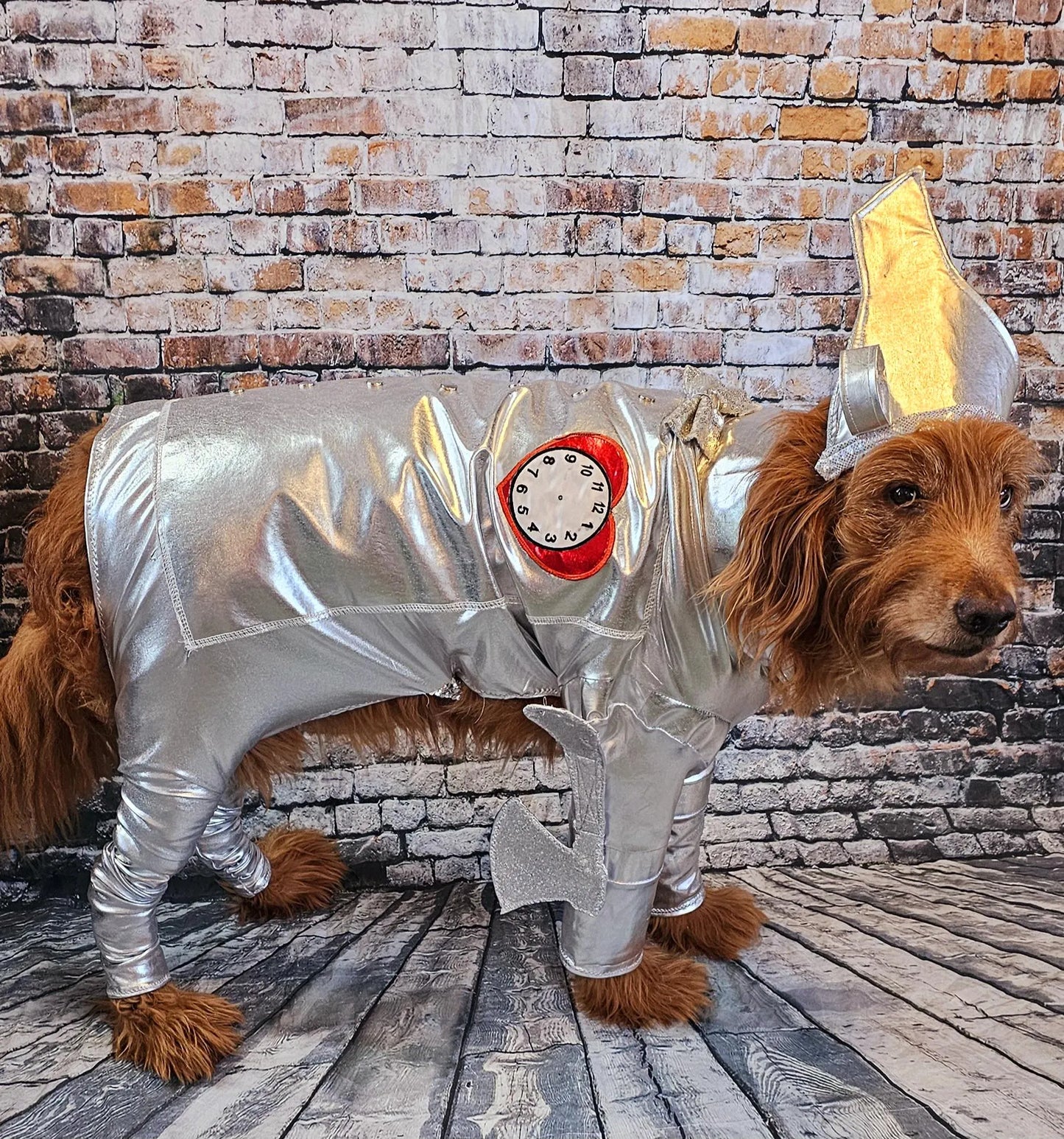 - Tin man pet costume, Tin man dog costume, Tin man cat costume, pet Tin man costume, dog Tin man costume, Tin Man costume for dogs
