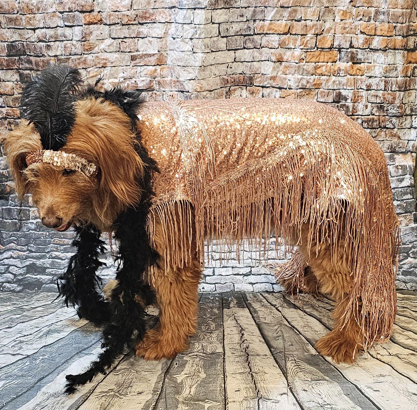 - Flappers sequin pet costume, flappers fringe pet costume
