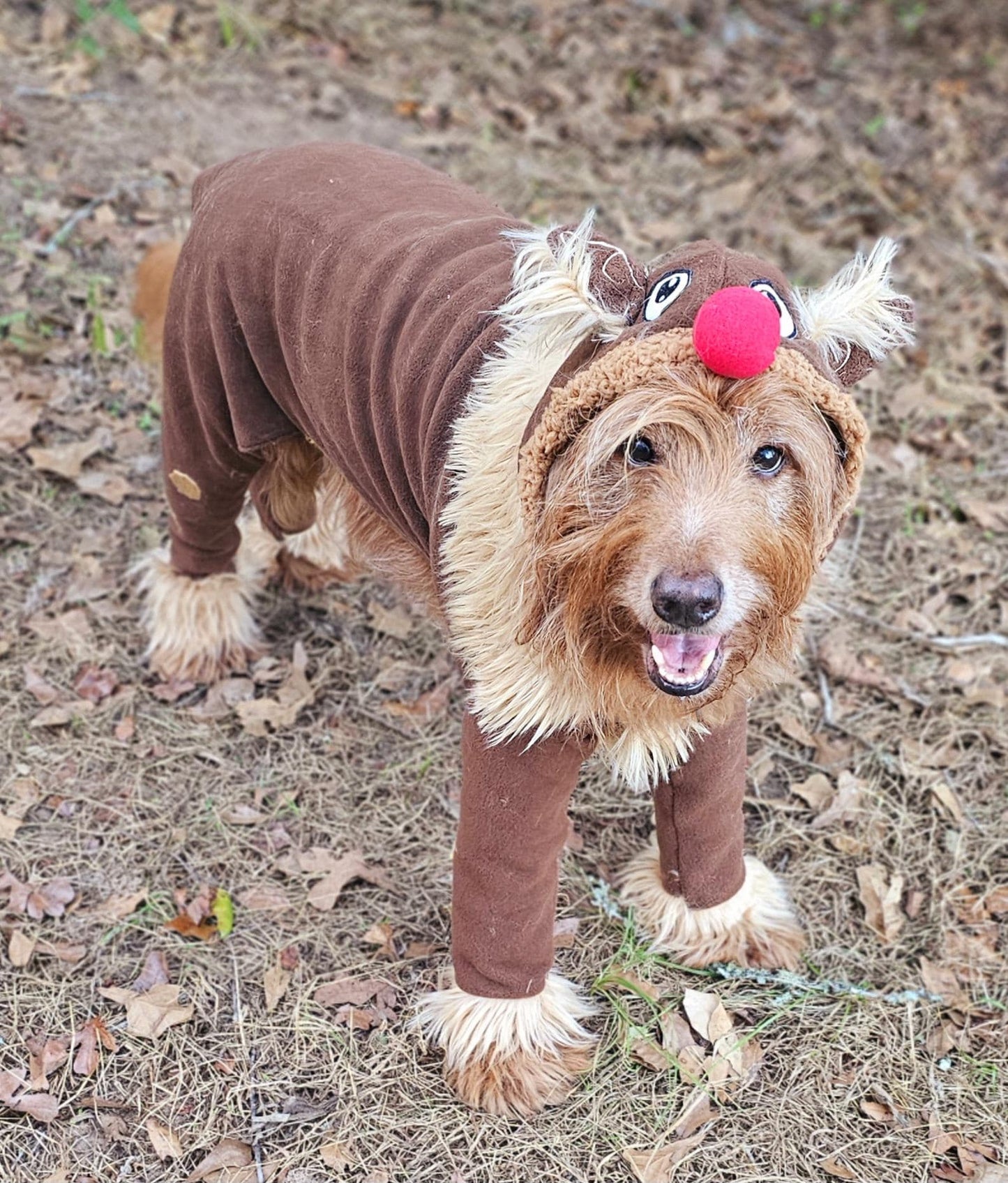 Reindeer pet costume, Reindeer dog costume, Rudolph pet costume, Rudolph dog costume, Deer pet costume, Reindeer cat costume, deer dog