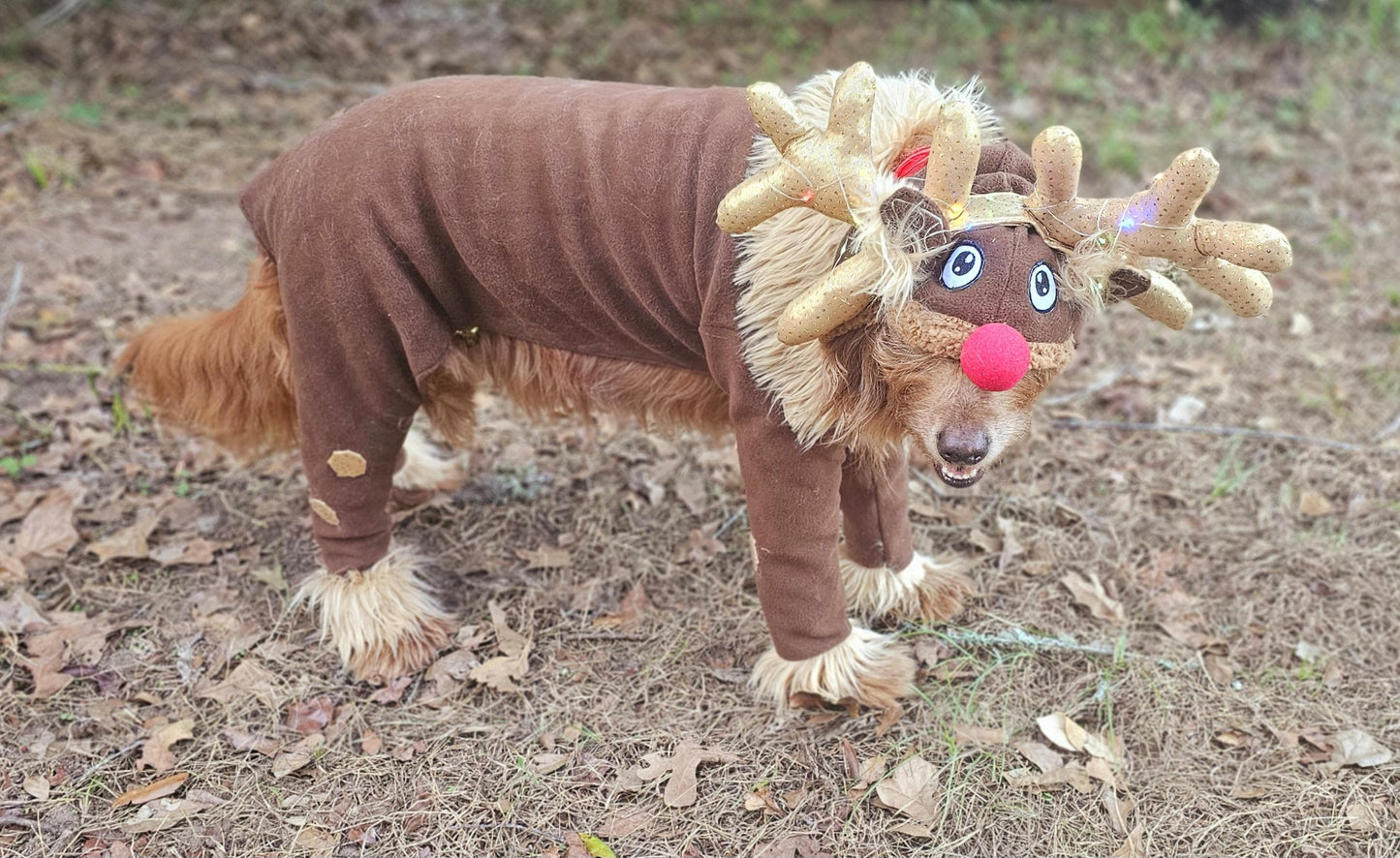 Reindeer pet costume, Reindeer dog costume, Rudolph pet costume, Rudolph dog costume, Deer pet costume, Reindeer cat costume, deer dog