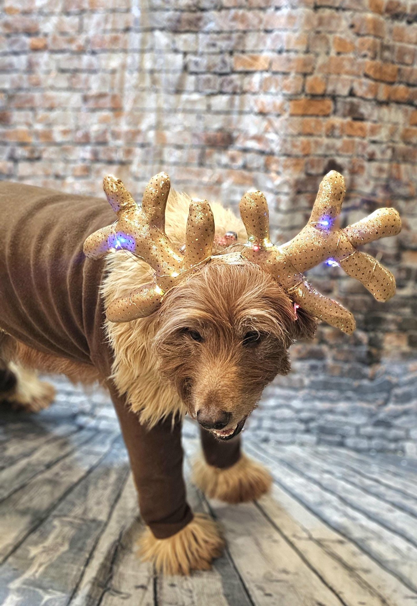 Light up pet antlers, light up dog antlers, Reindeer pet antlers, light up cat antlers, Reindeer dog light up antlers, antlers for pets