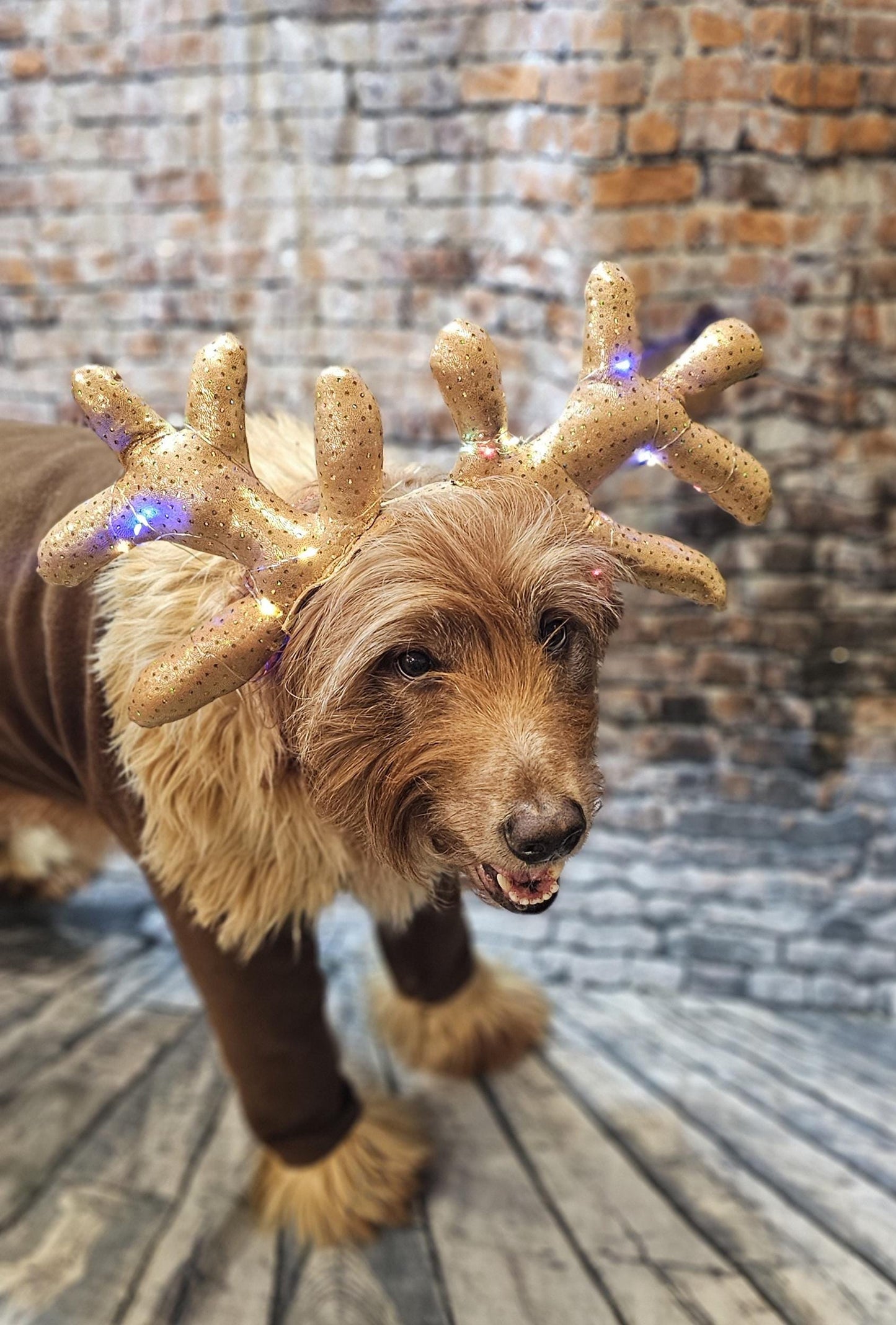 Light up pet antlers, light up dog antlers, Reindeer pet antlers, light up cat antlers, Reindeer dog light up antlers, antlers for pets