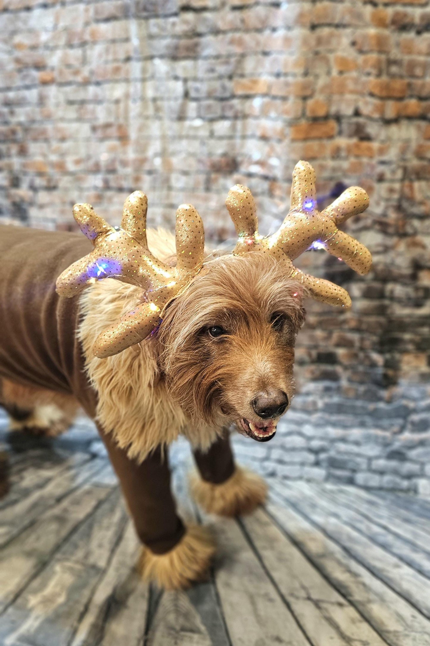 Light up pet antlers, light up dog antlers, Reindeer pet antlers, light up cat antlers, Reindeer dog light up antlers, antlers for pets