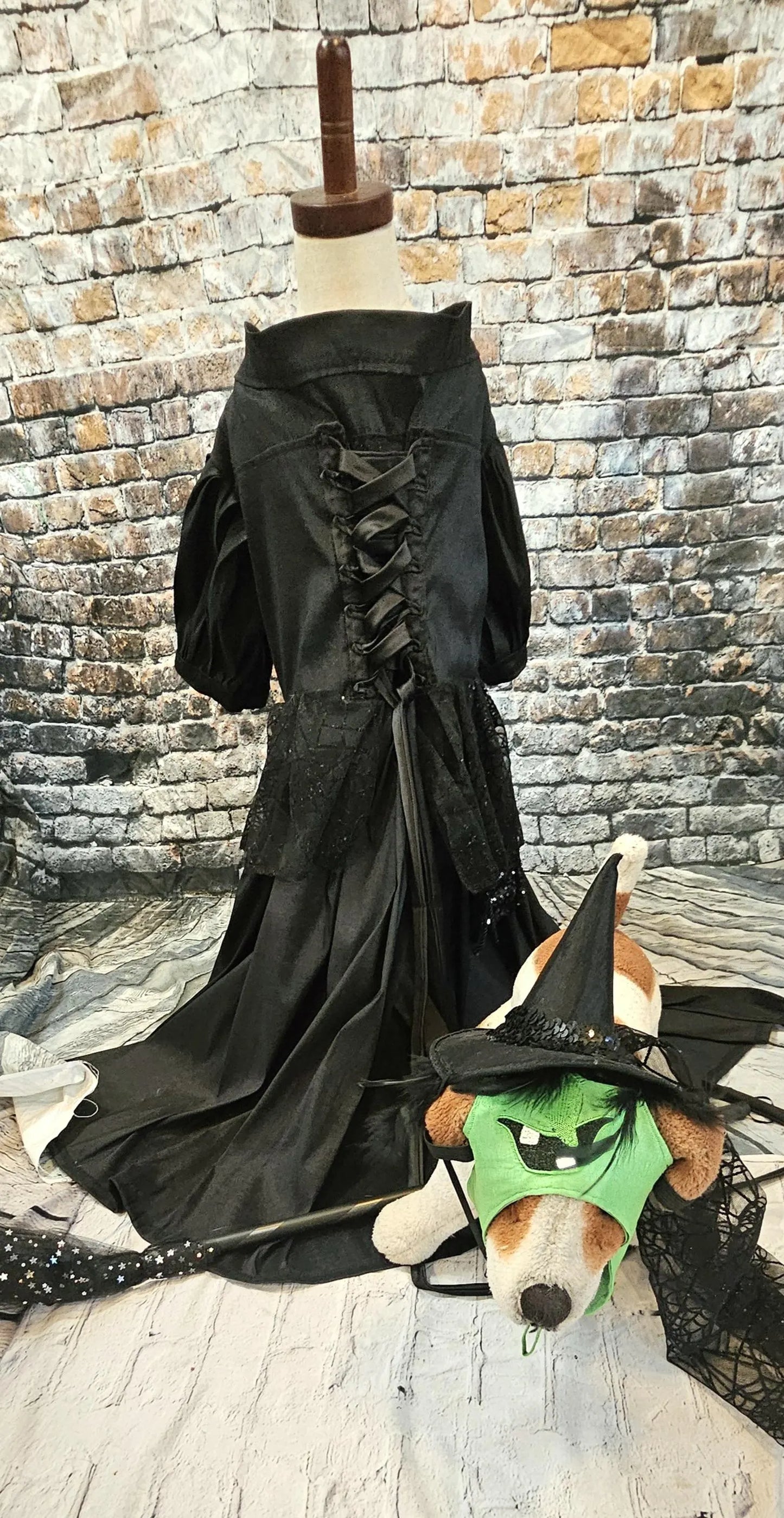- Wicked Witch of the West pet costume, Elphaba pet costume, wicked witch of the west dog costume, wicked witch of the west cat costume